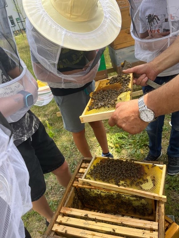 Pracy pszczół na terenie MZUK w Łabędach przyglądały się dzieci z SP 32, które pomalowały ule. Fot. materiały MZUK Dzieci przy ulach na terenie MZUK w Łabędach