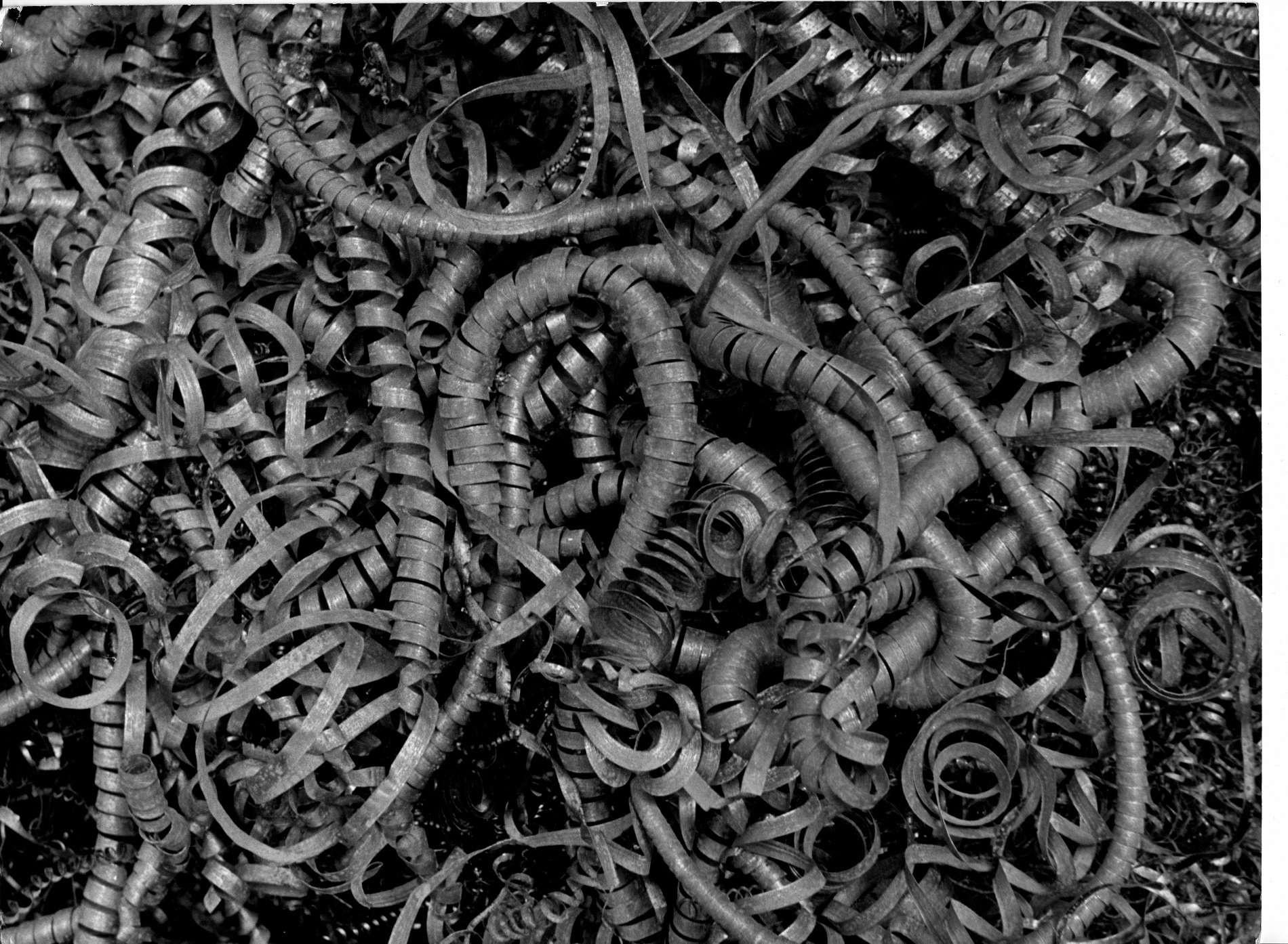 „Wężowisko”, Adam Sheybal, ok. 1956 r. spirale taśmy w kłębach