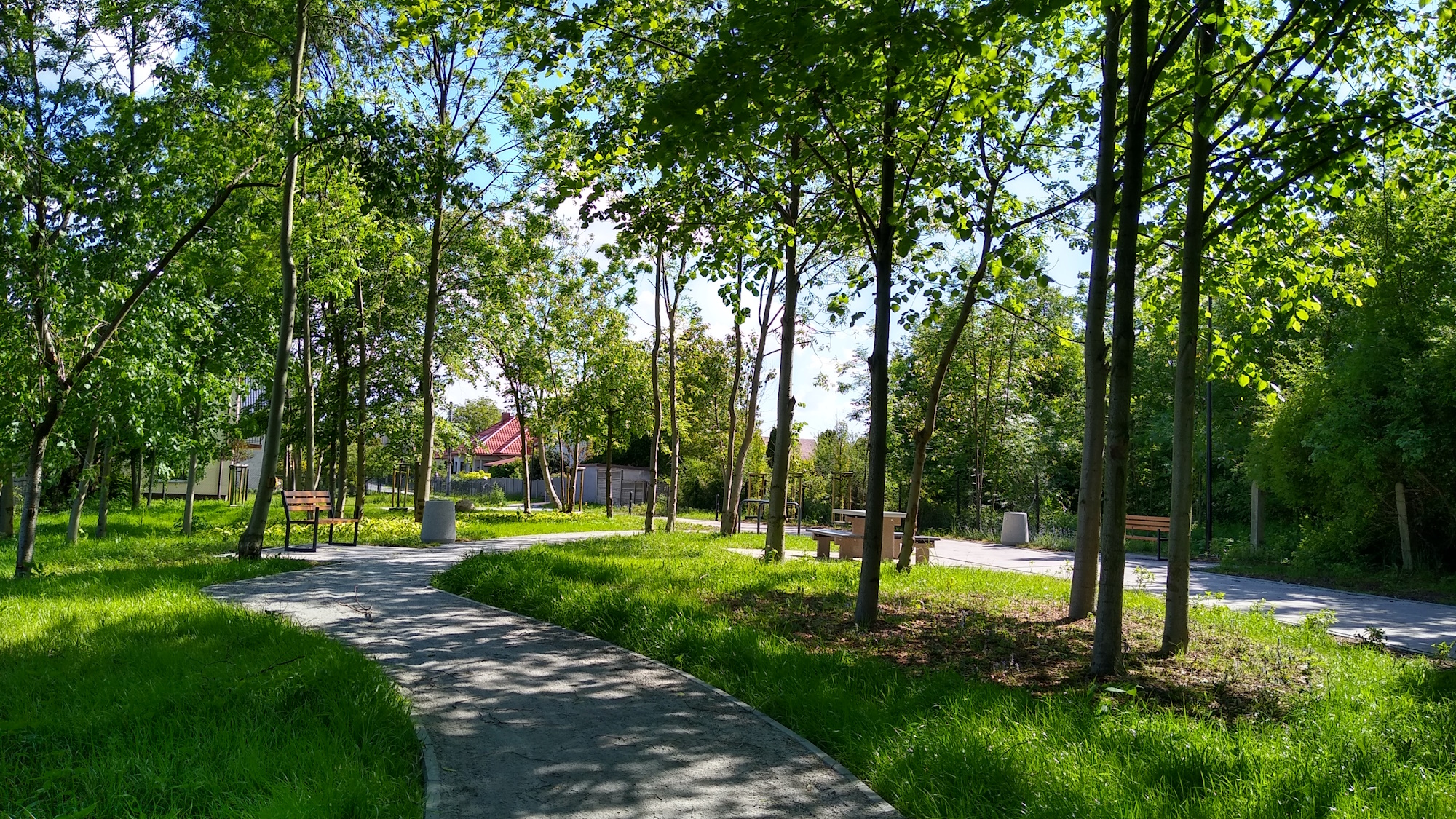 Fot. M.Foltyn/UM Gliwice zielony park kieszonkowy w Ostropie. Drzewa i trawy