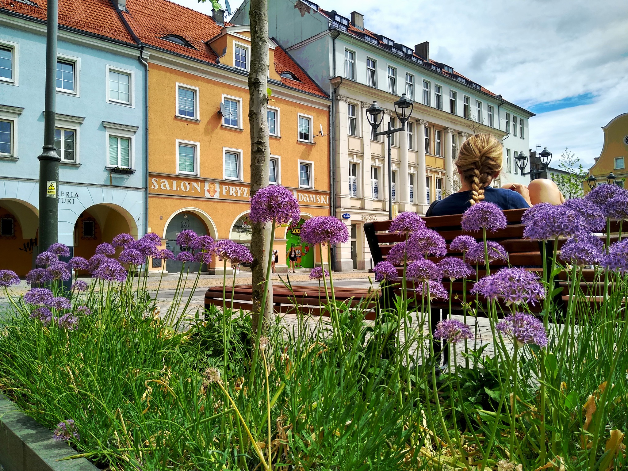 Fot. M.Foltyn/UM Gliwice Kwiaty na Rynku
