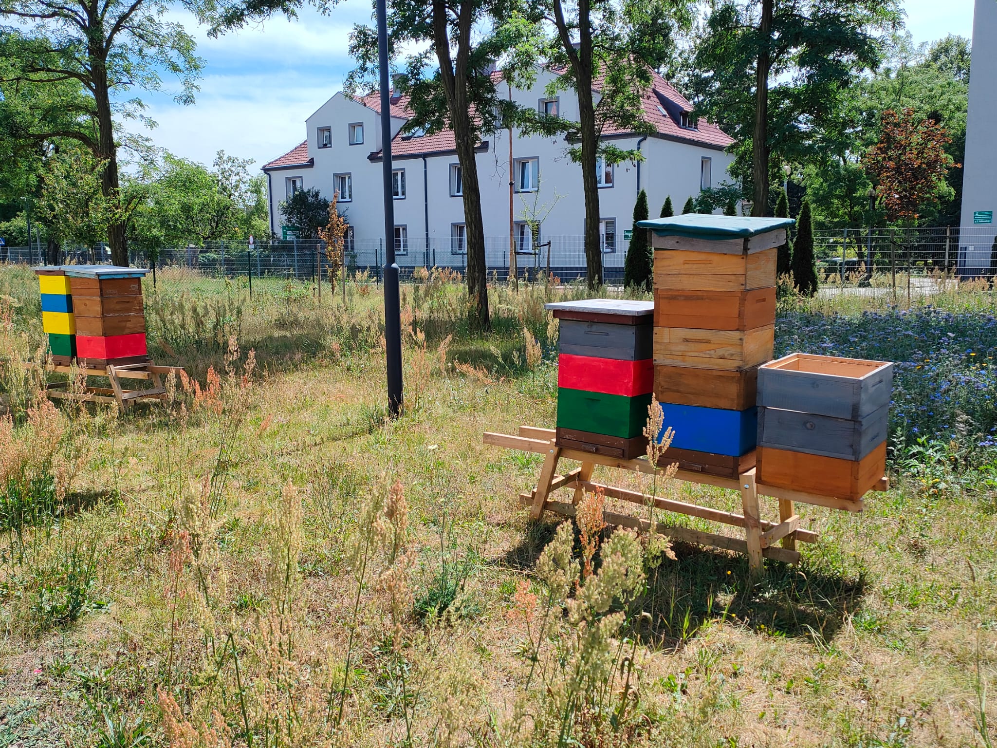 Ule na terenie MZUK przy ul. Strzelców Bytomskich. Fot. materiały MZUK ule na terenie MZUK w Łabędach