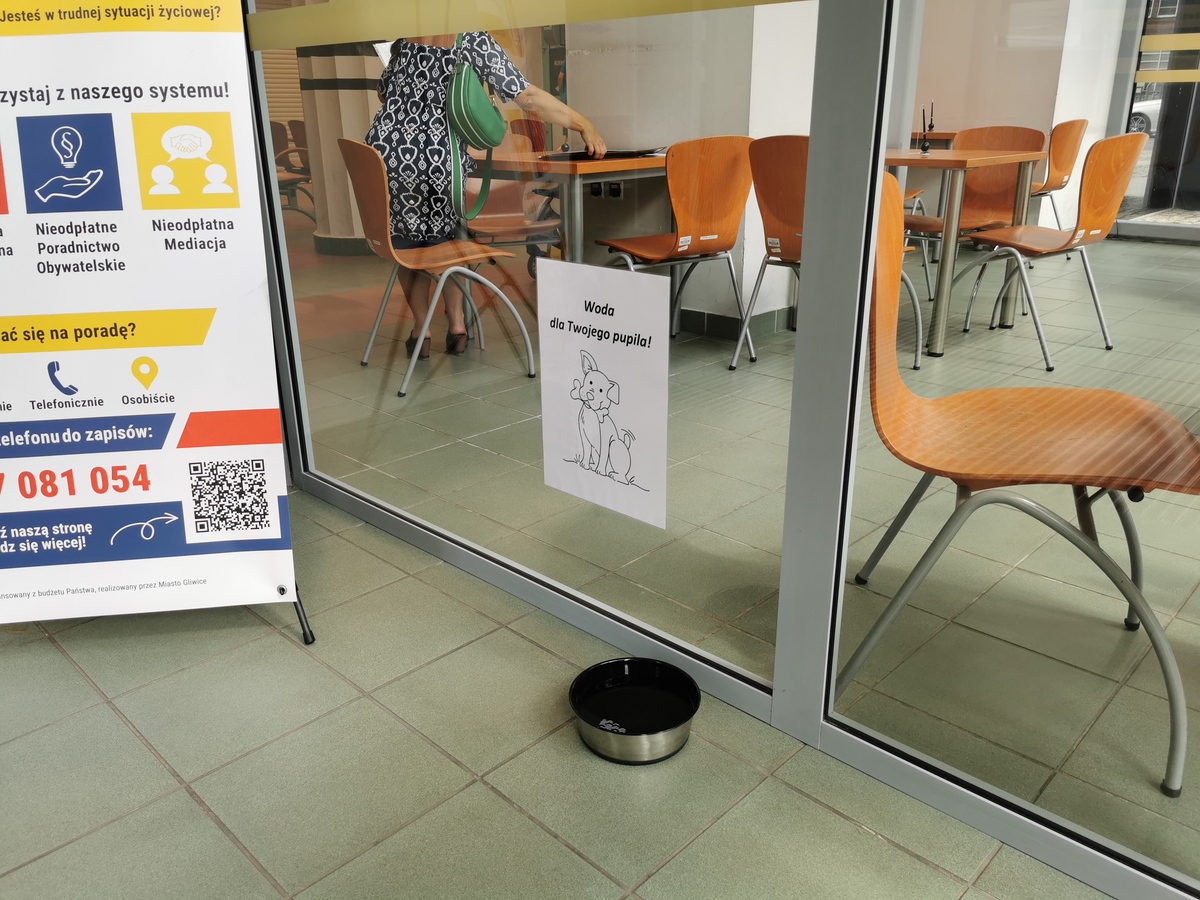 Fot. M. Lipiec/ UM w Gliwicach Miska i tabliczka przy wejściu głównym do UM