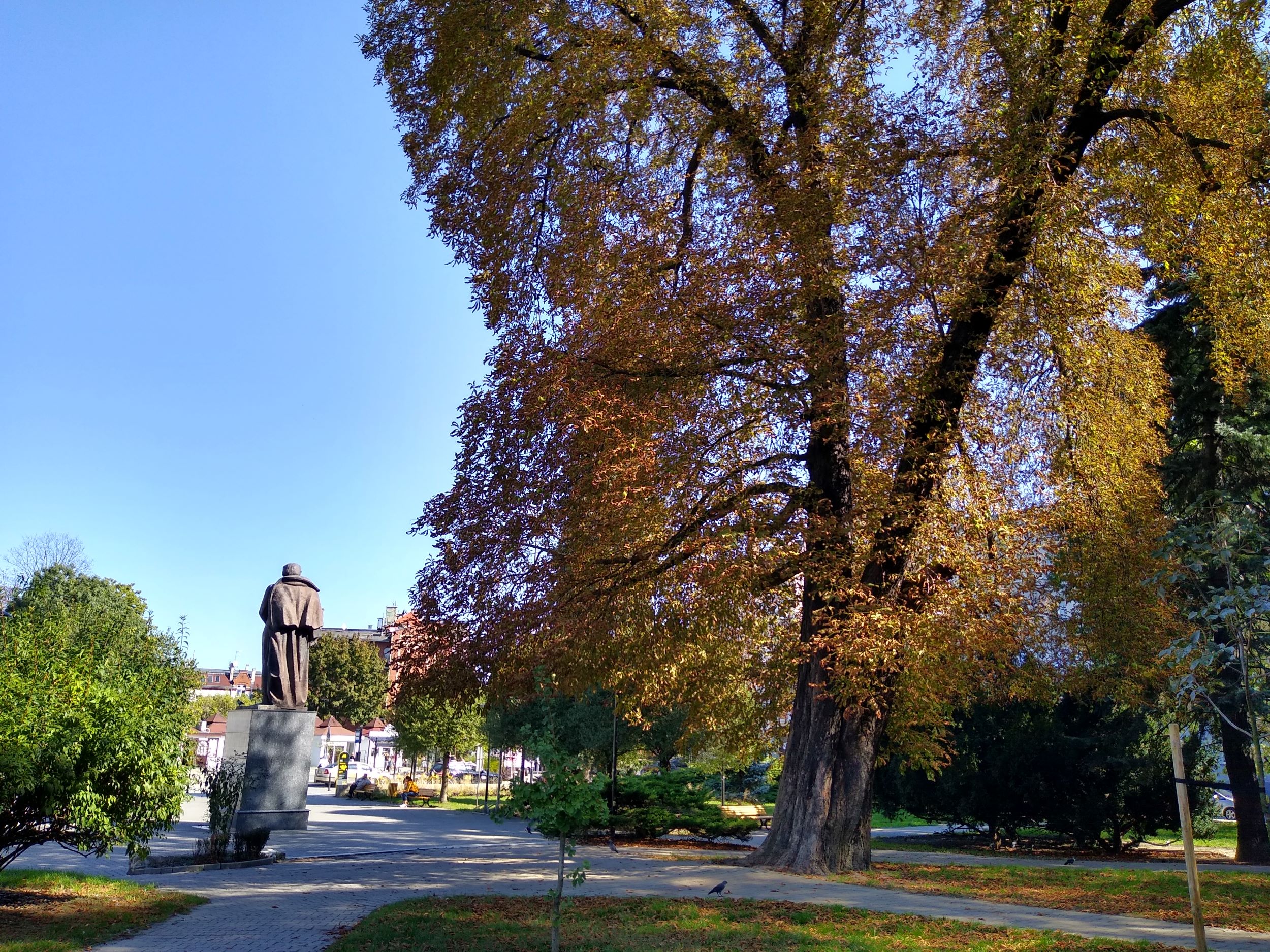 Fot. M.Foltyn/UM Gliwice plac Mickiewicza