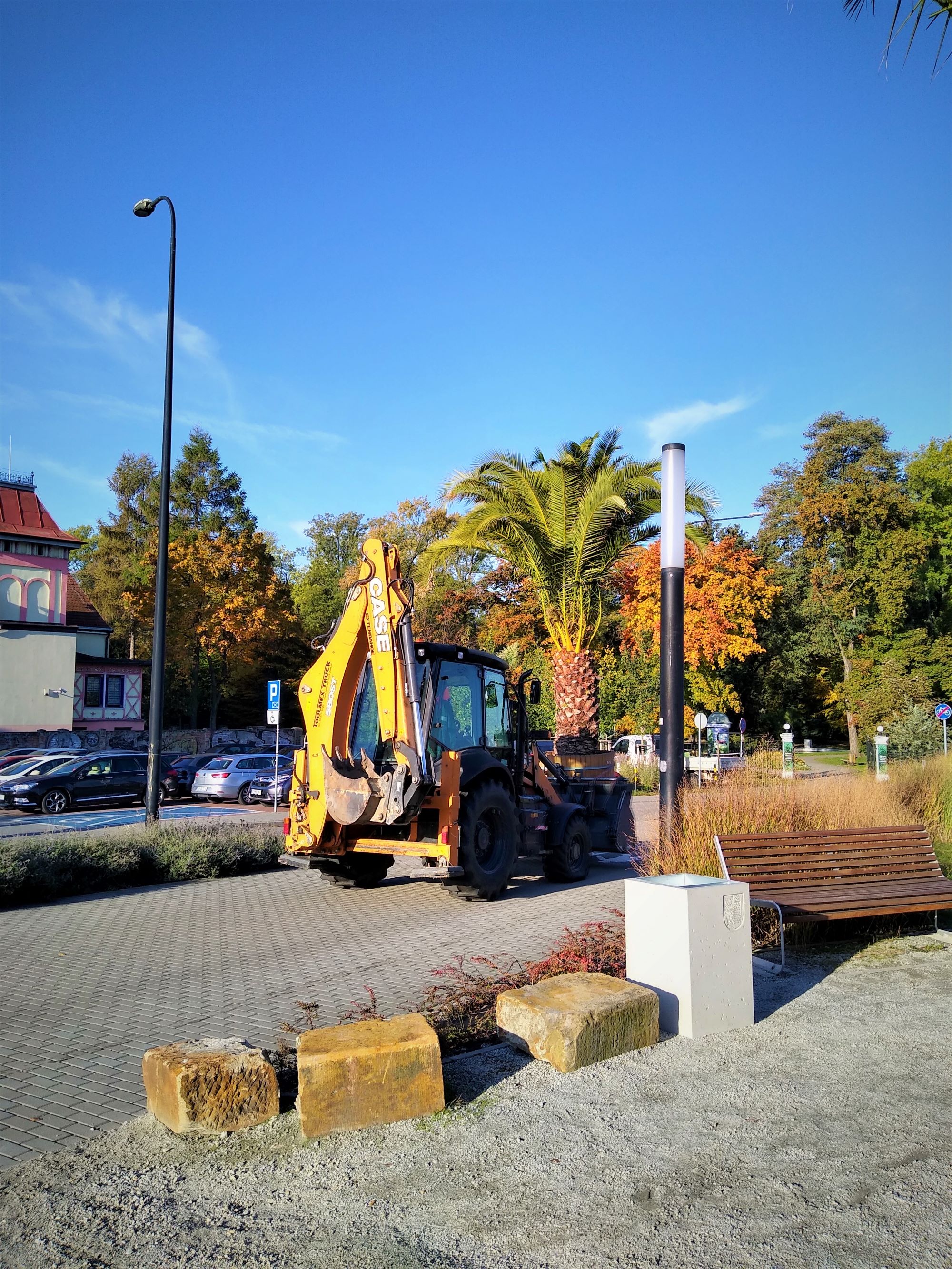 Fot. M.Foltyn/UM Gliwice palma na koparce