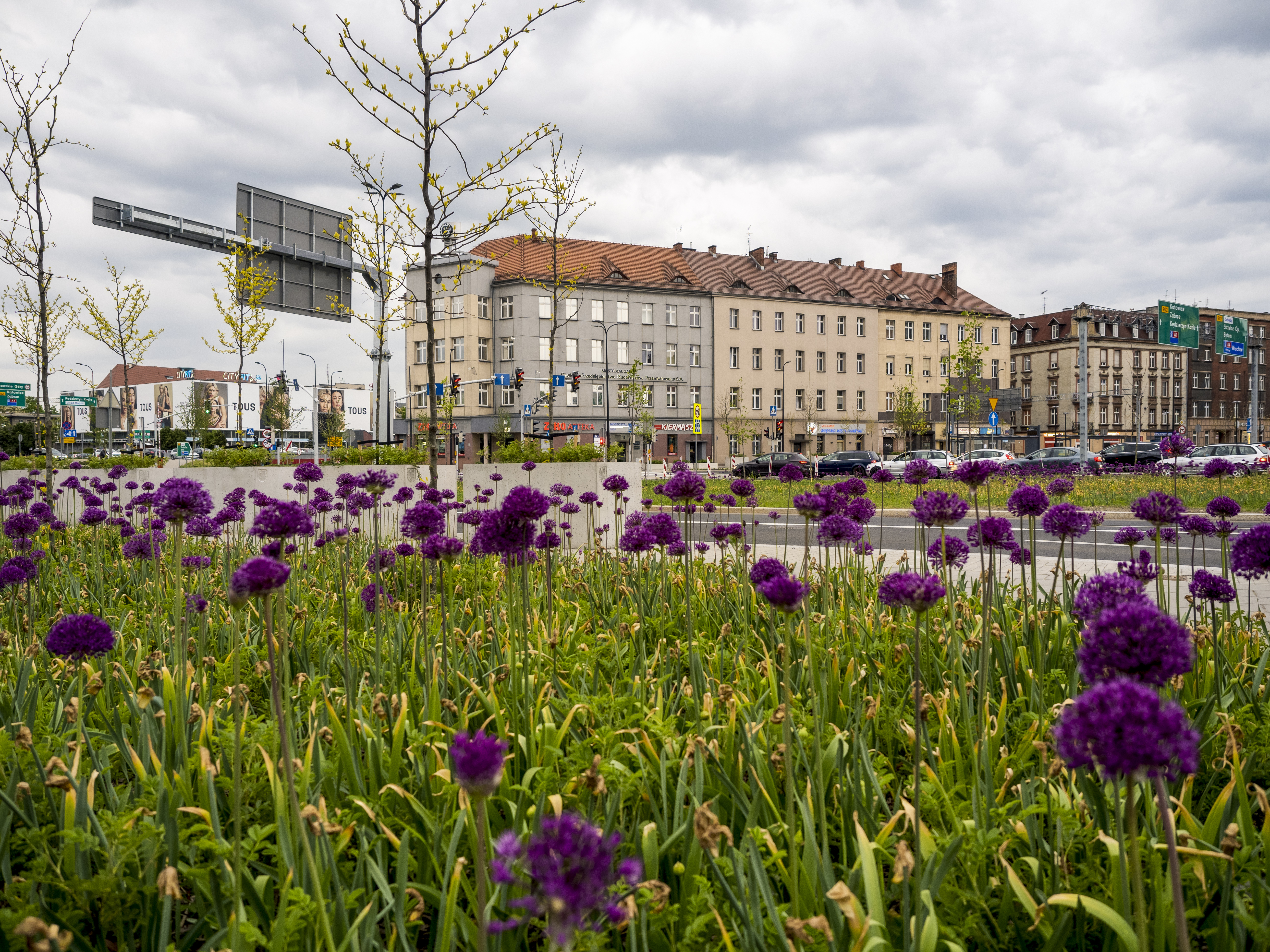 fot. G. Ożga / UM w Gliwicach plac Piastów