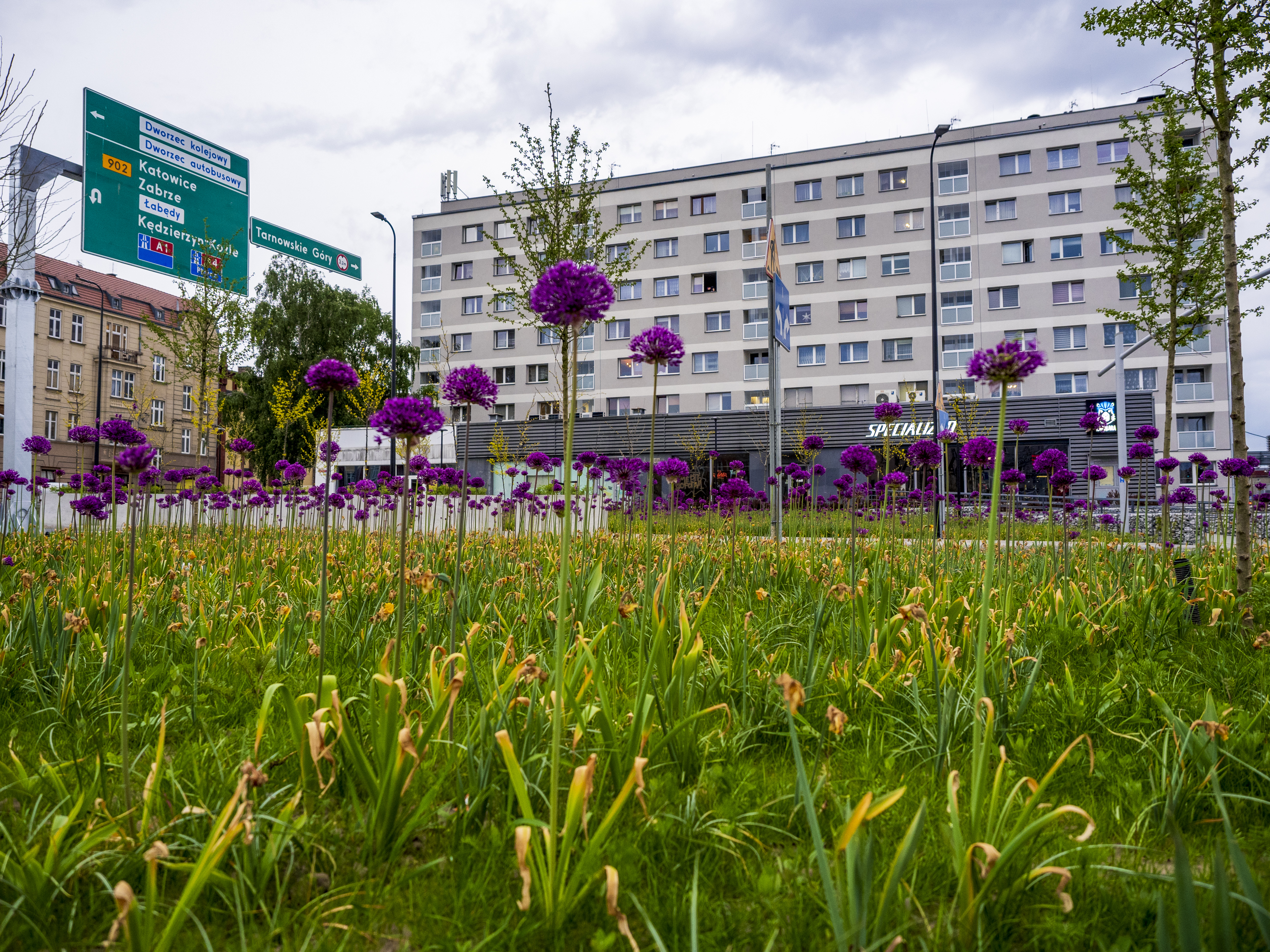 fot. G. Ożga / UM w Gliwicach plac Piastów