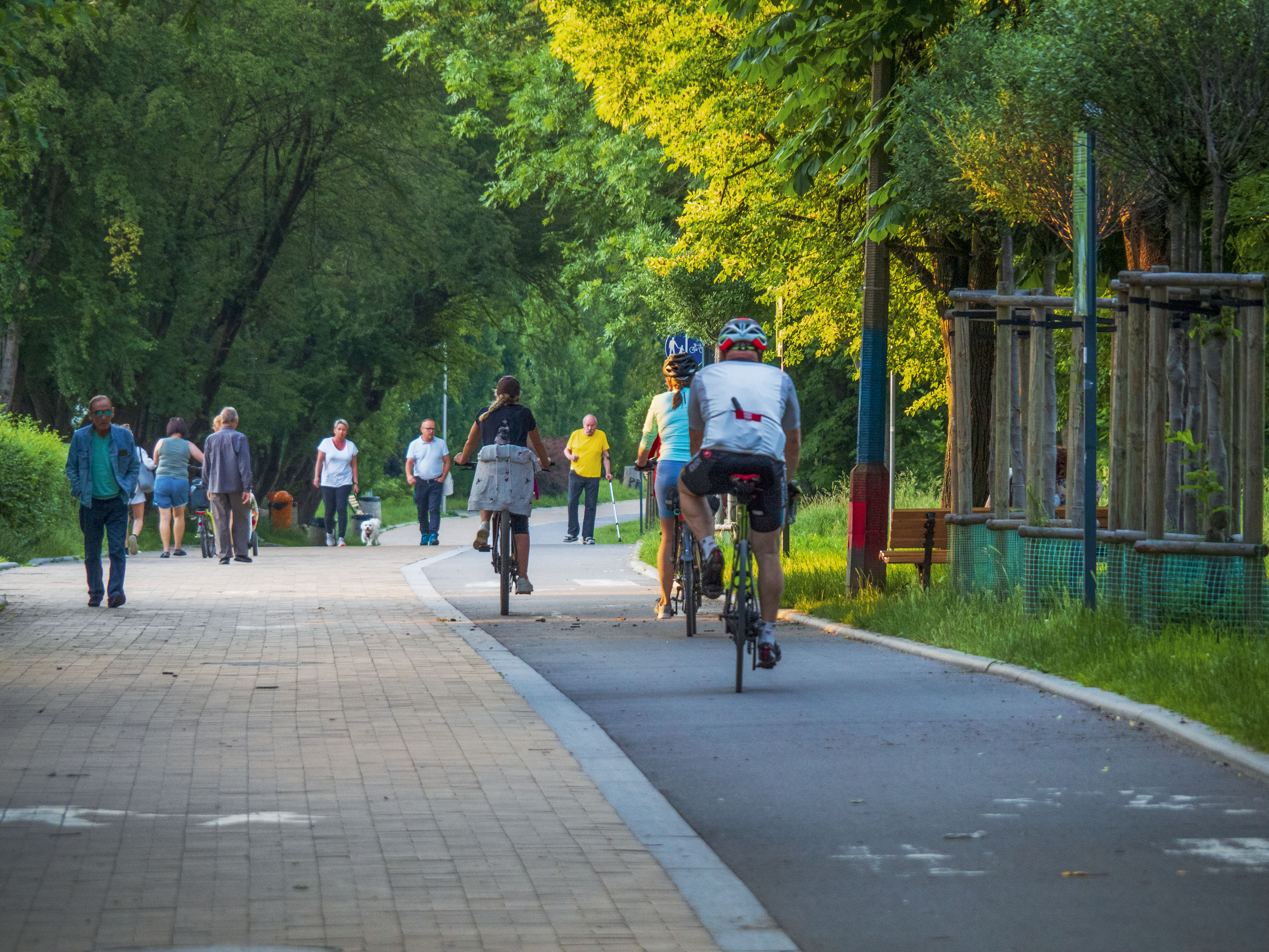 Gliwickie ścieżki rowerowe, fot. G. Ożga / archiwum UM w Gliwicach ścieżki rowerowe