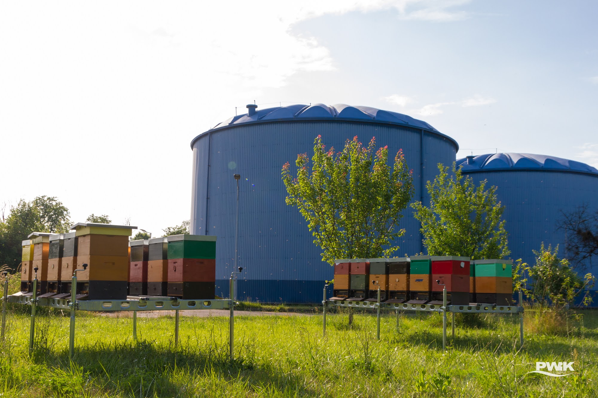 Fot. K.Krzemiński/PWiK Gliwice ulse5
