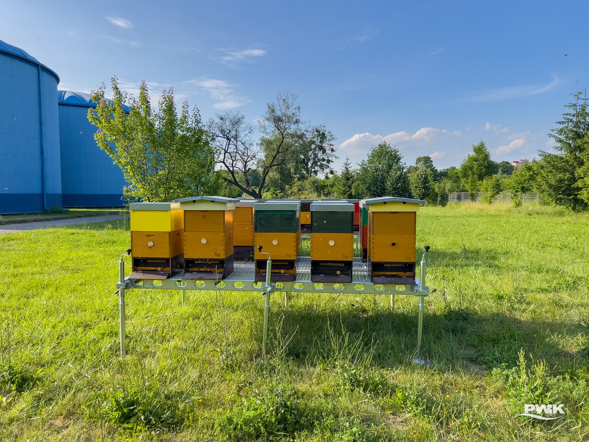 Fot. K.Krzemiński/PWiK Gliwice ule3