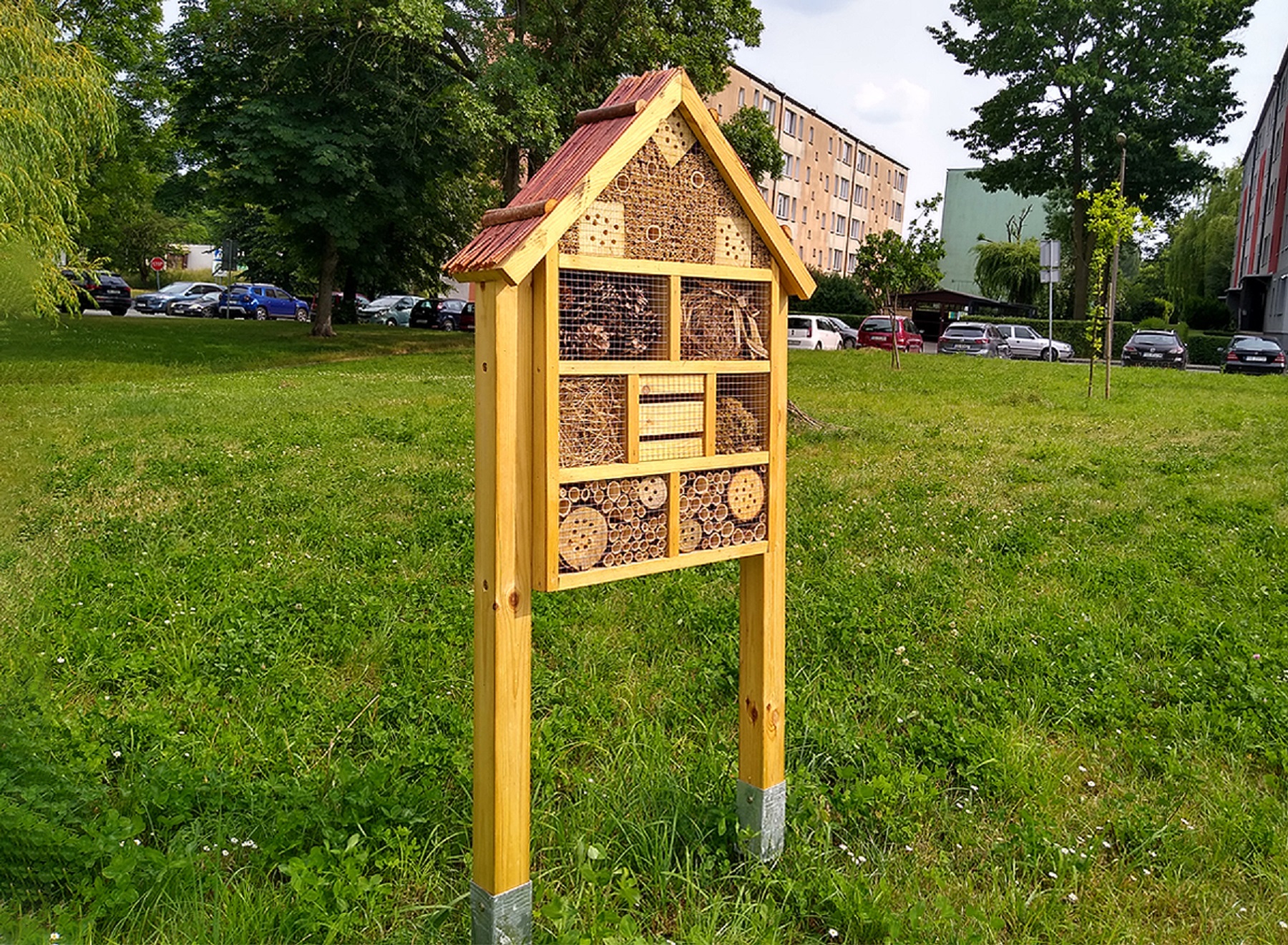Fot. M.Foltyn/UM Gliwice domek dla owadów 2