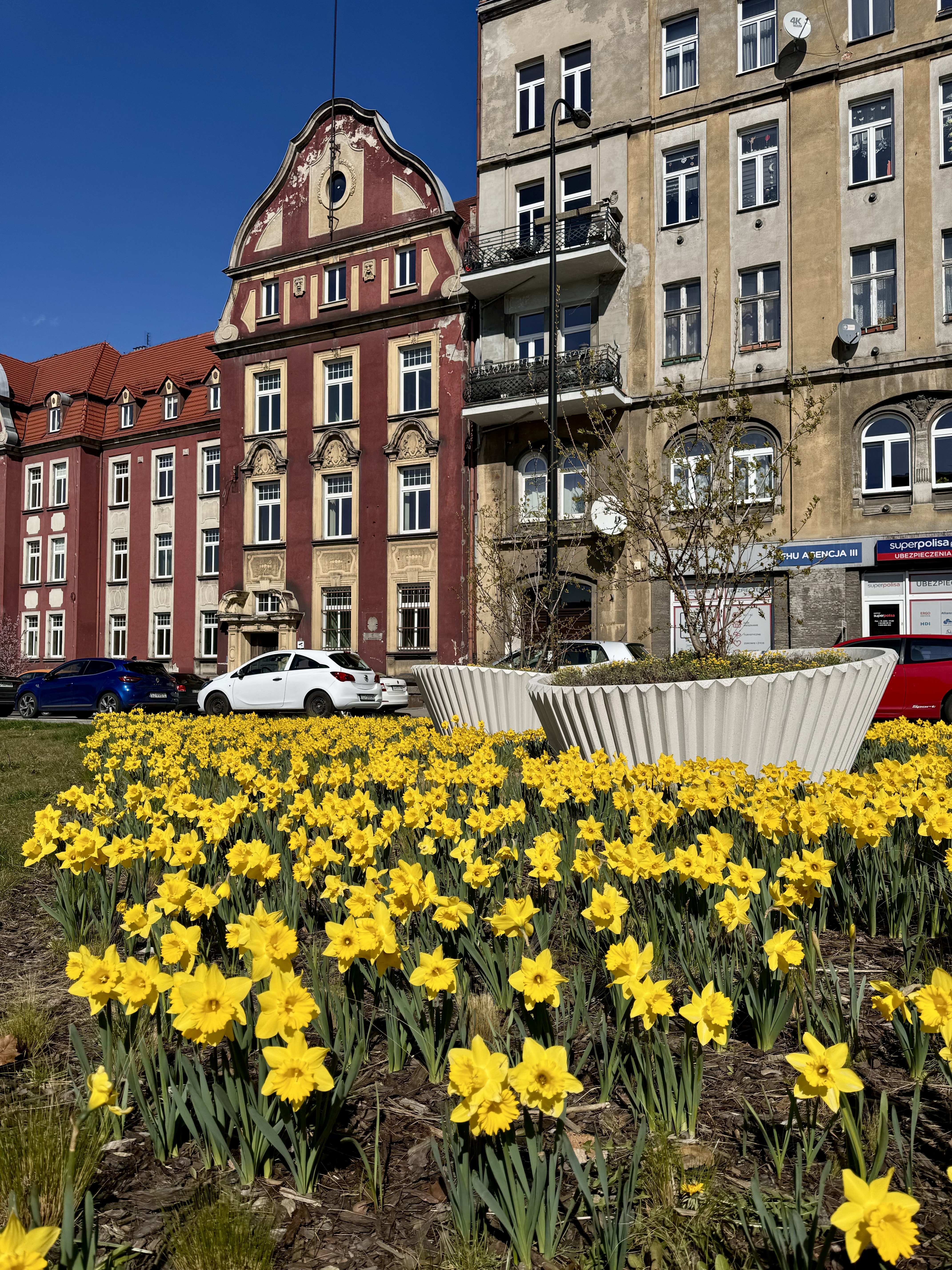 Fot. UM Gliwice kwiaty na skwerze Europejskim