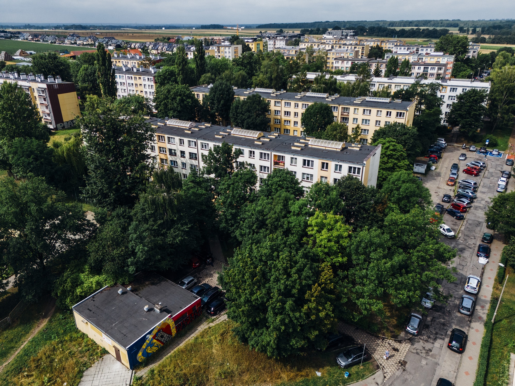 fot. M. Baranowski / UM w Gliwicach skwer przy ul. Kormoranów