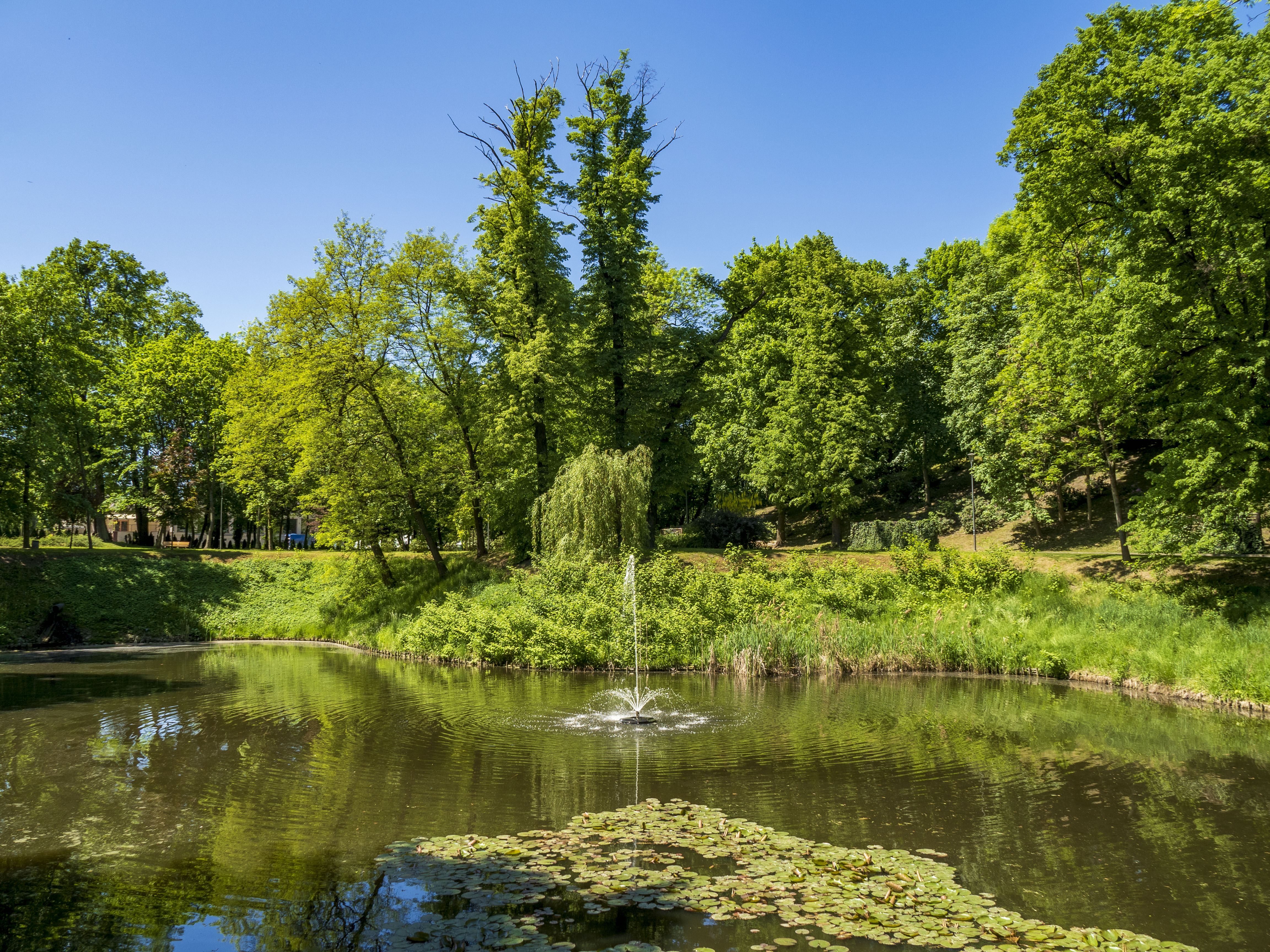 Fot. G.Ożga/UM Gliwice fontanna w parku Szwajcaria
