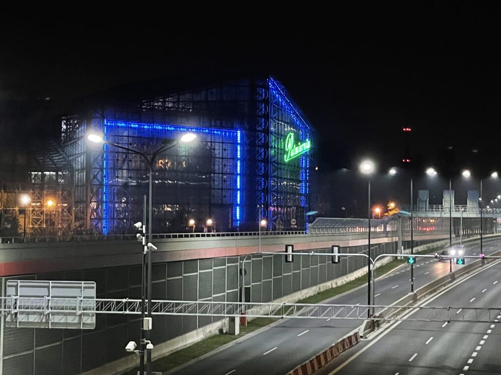 Fot. materiały organizatora palmiarnia na niebiesko