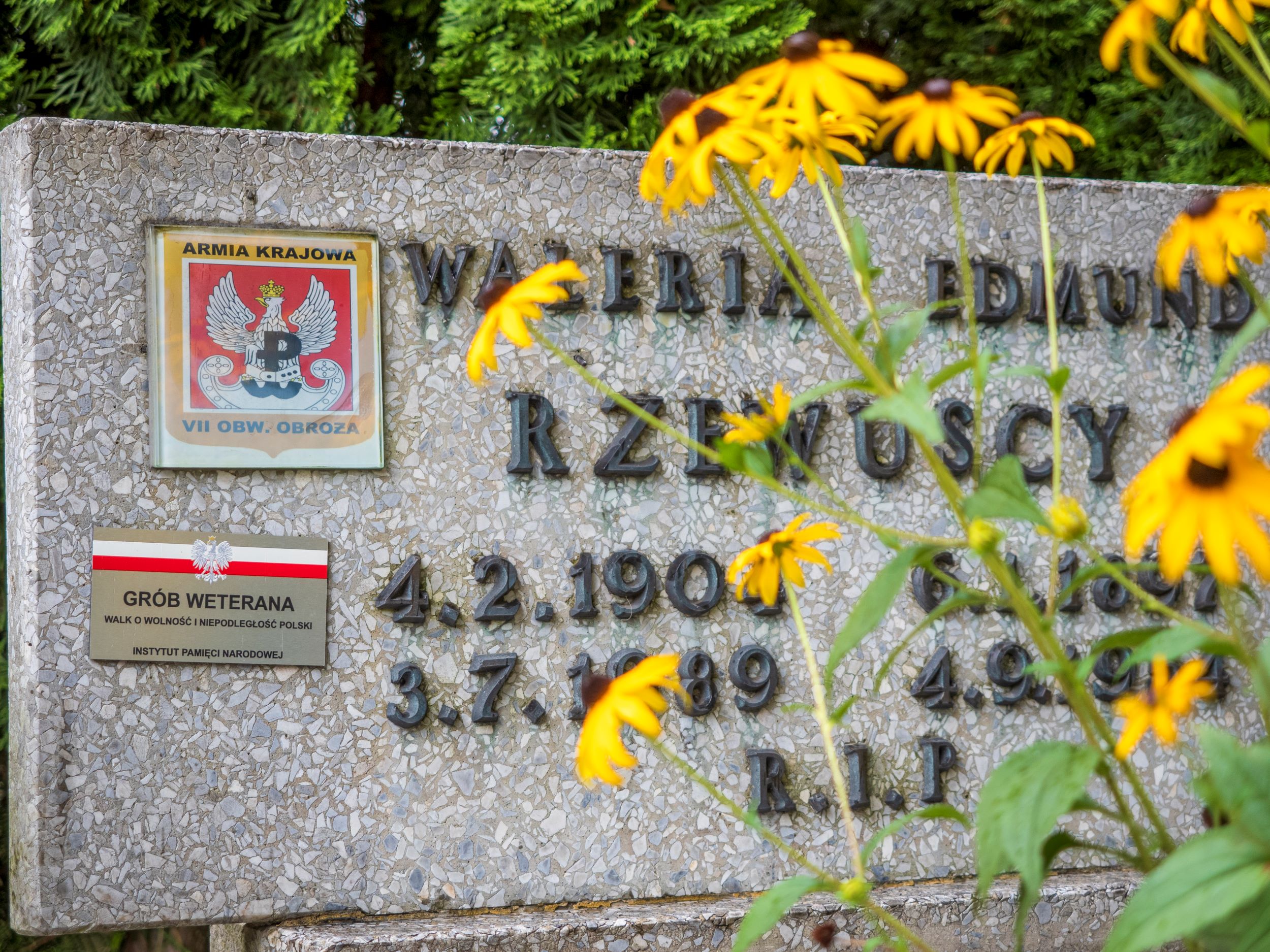 fot. G. Ożga/UM Gliwice Grób Edmunda Rzewuskiego