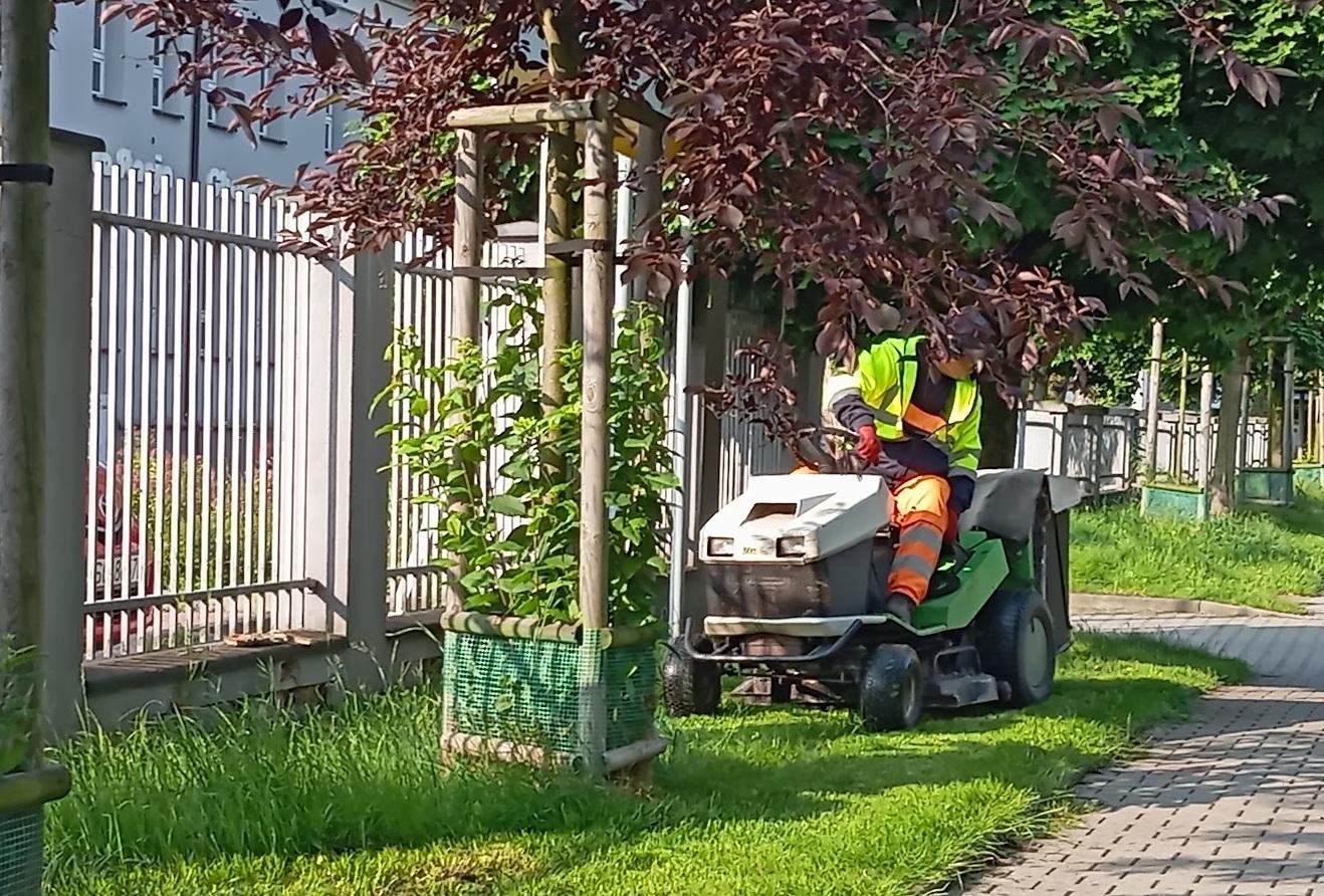 Dbamy o zieleń. Ruszyła jesienna pielęgnacja w pasach drogowych