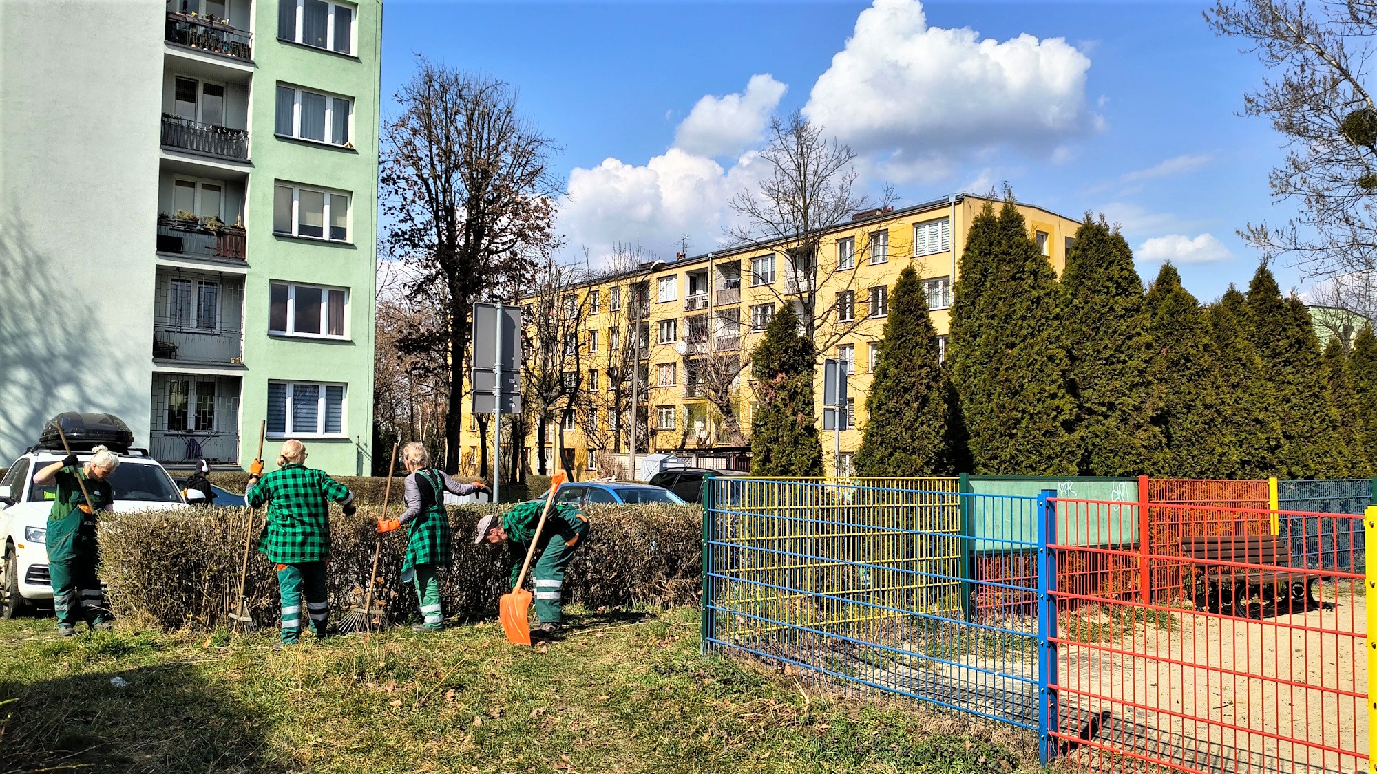 kilku pracowników przy żywopłocie