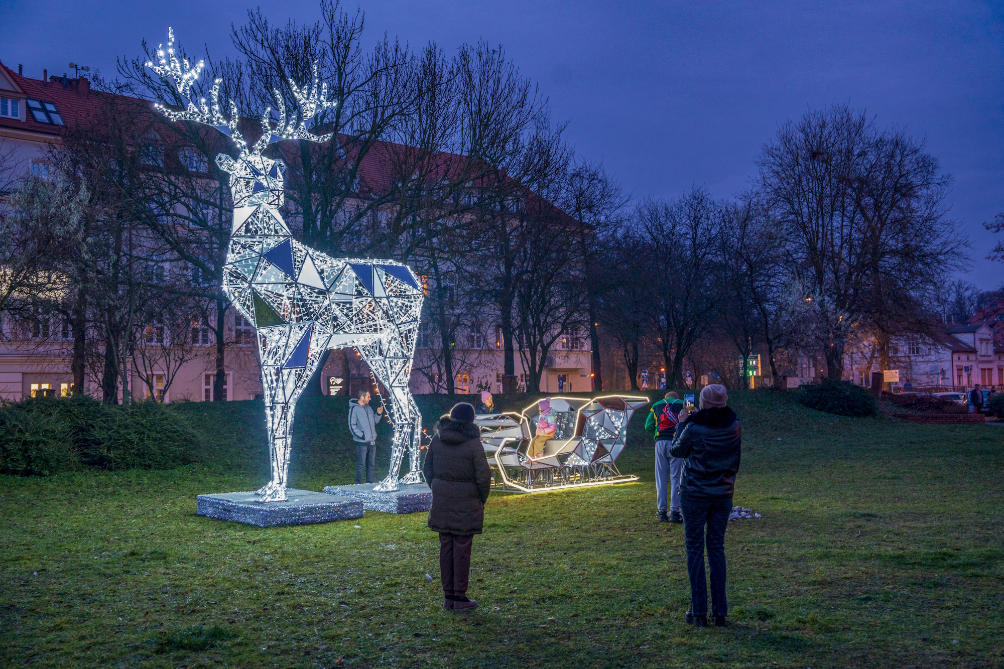 renifer świetlny i ludzie