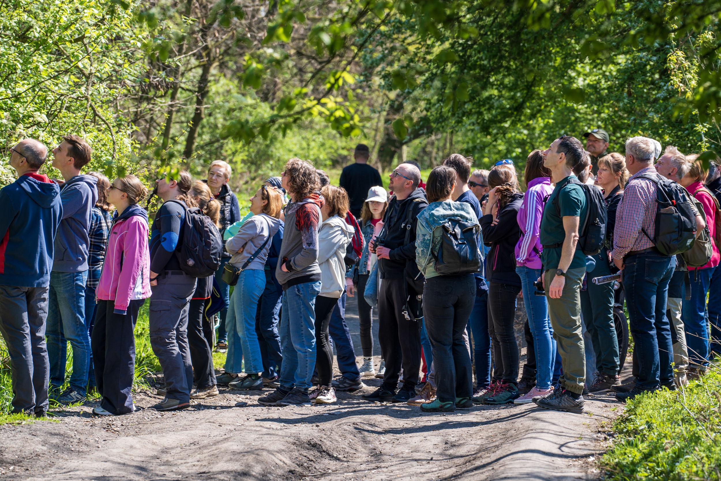 Uczestnicy spaceru oglądający przyrodę