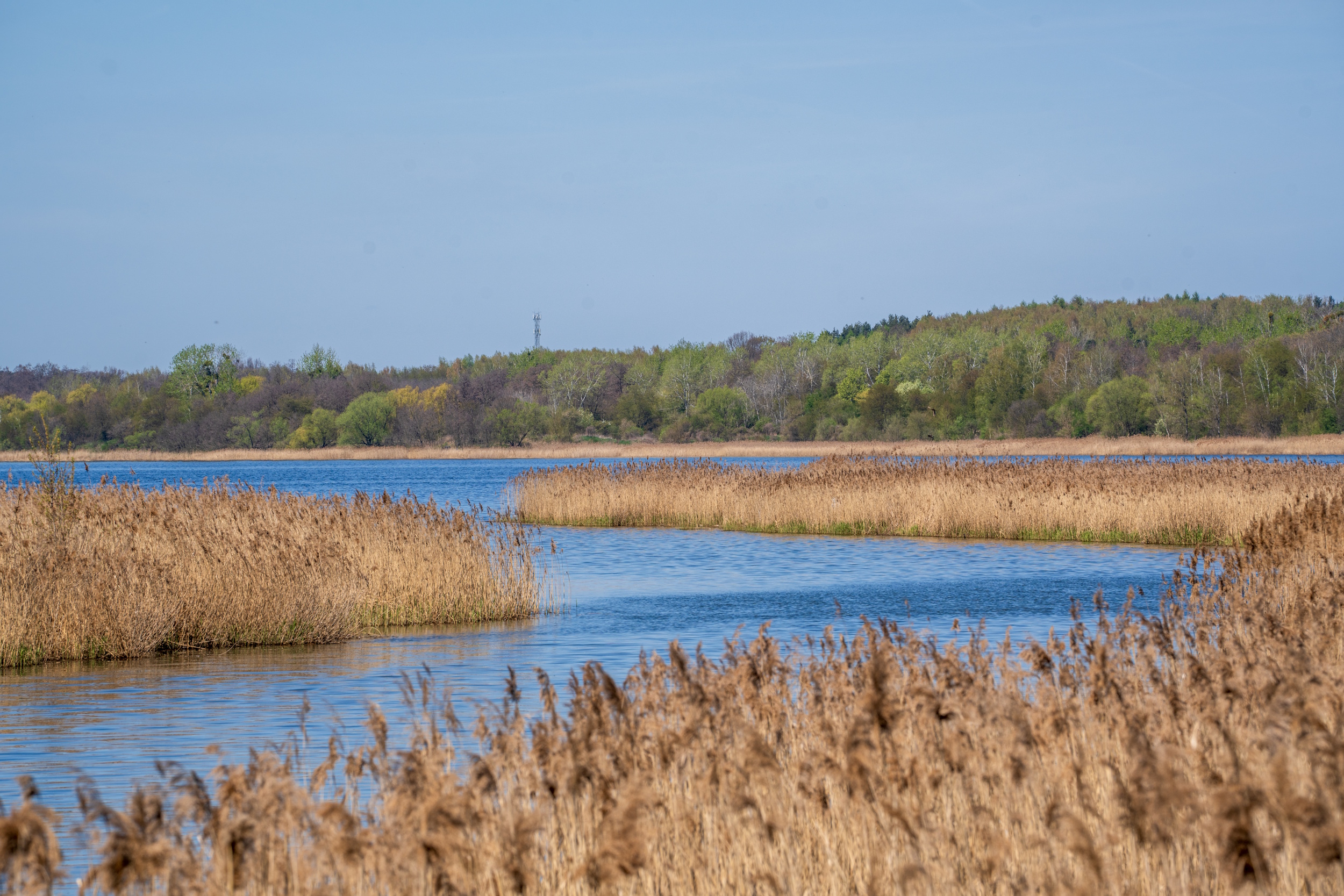 Malowniczy teren ujścia Kłodnicy