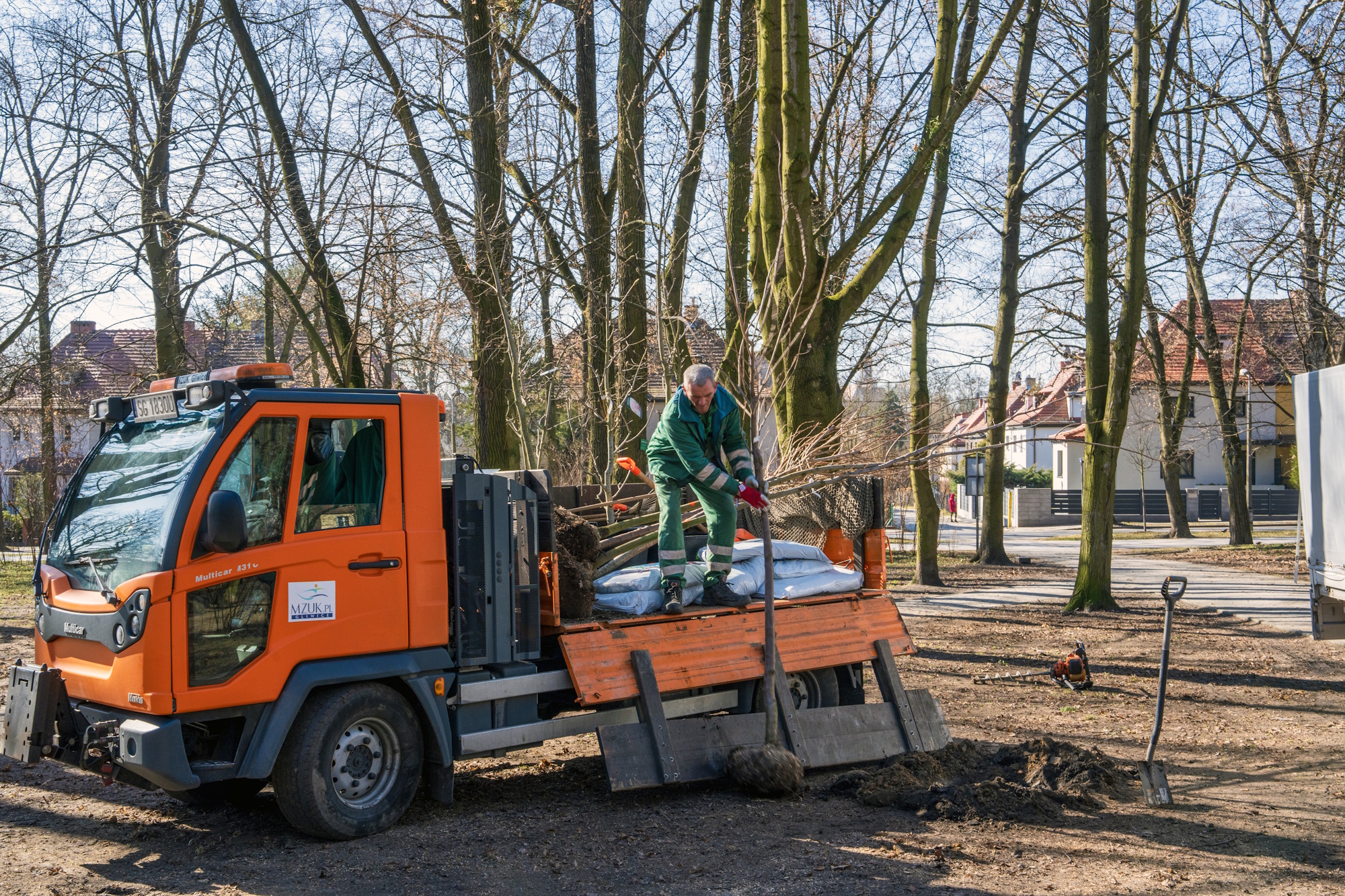 ludzie na samochodzie sadzą drzewka