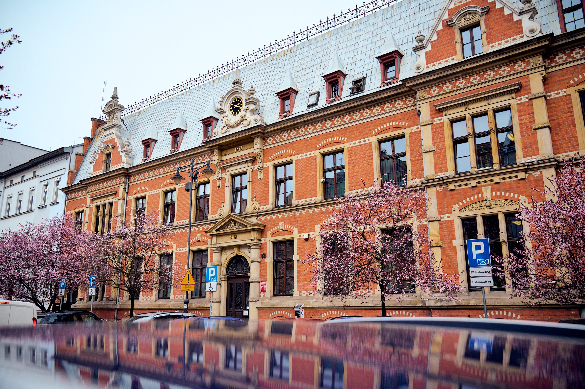 kwitnące drzewka, w tle kamienica na Placu Inwalidów Wojennych