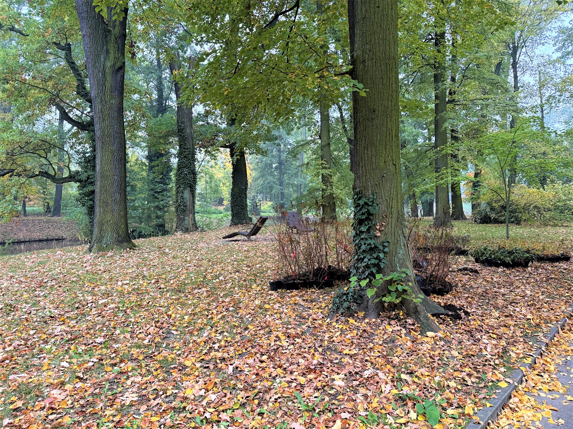 ławki w parku