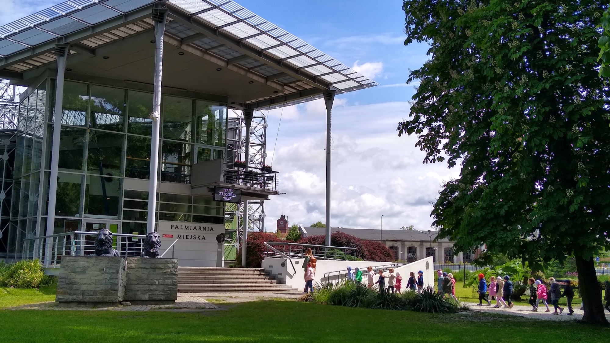 Palmiarnia w Gliwicach, ujęcie z zewnątrz letnią porą
