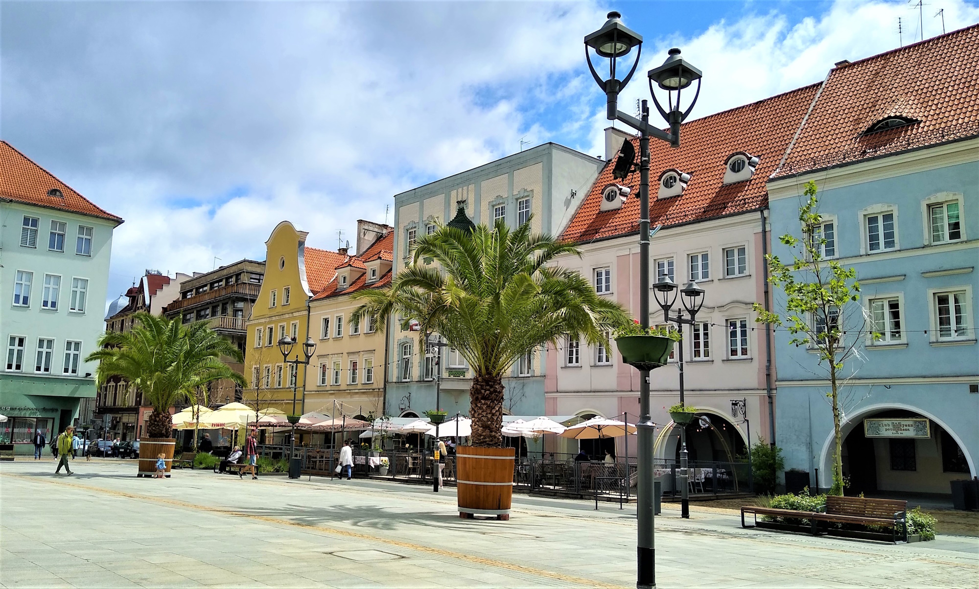 palmy na Rynku