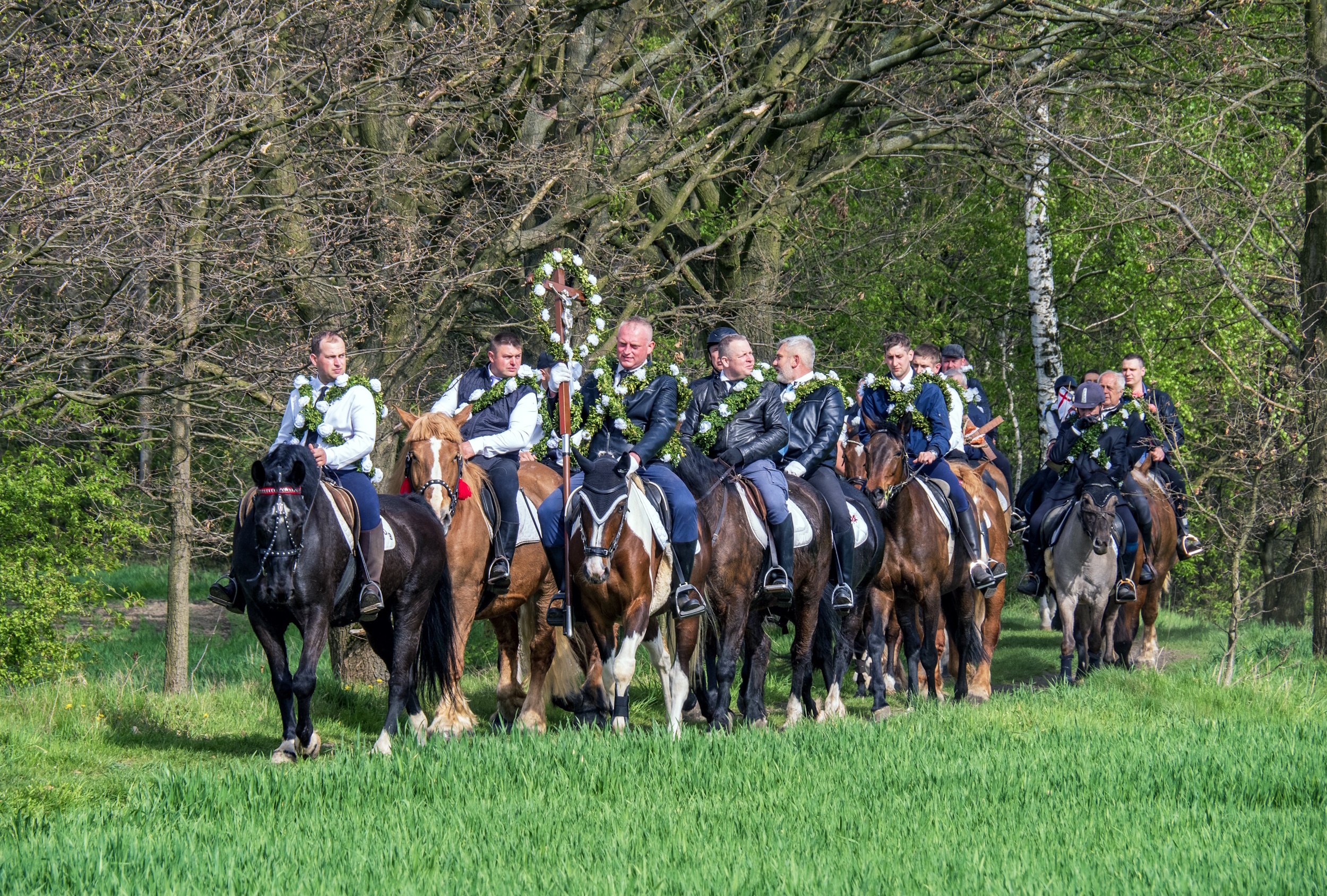 wiosna, zieleń, jeźdźcy na koniach objeżdżają ostrospkie pola