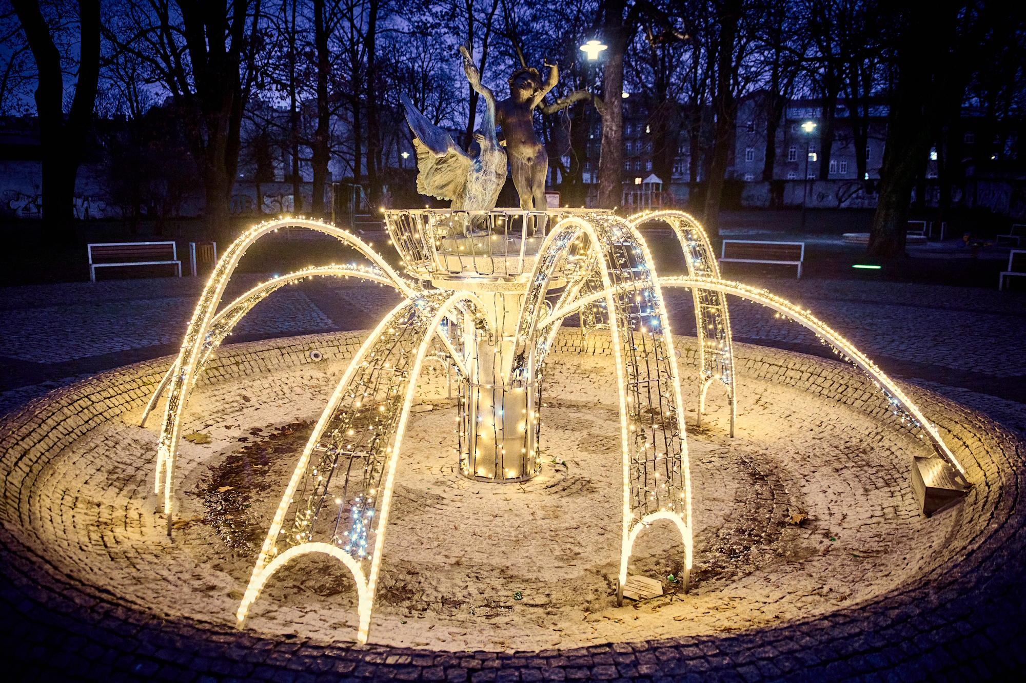 chłopiec z łabędziem w światłach
