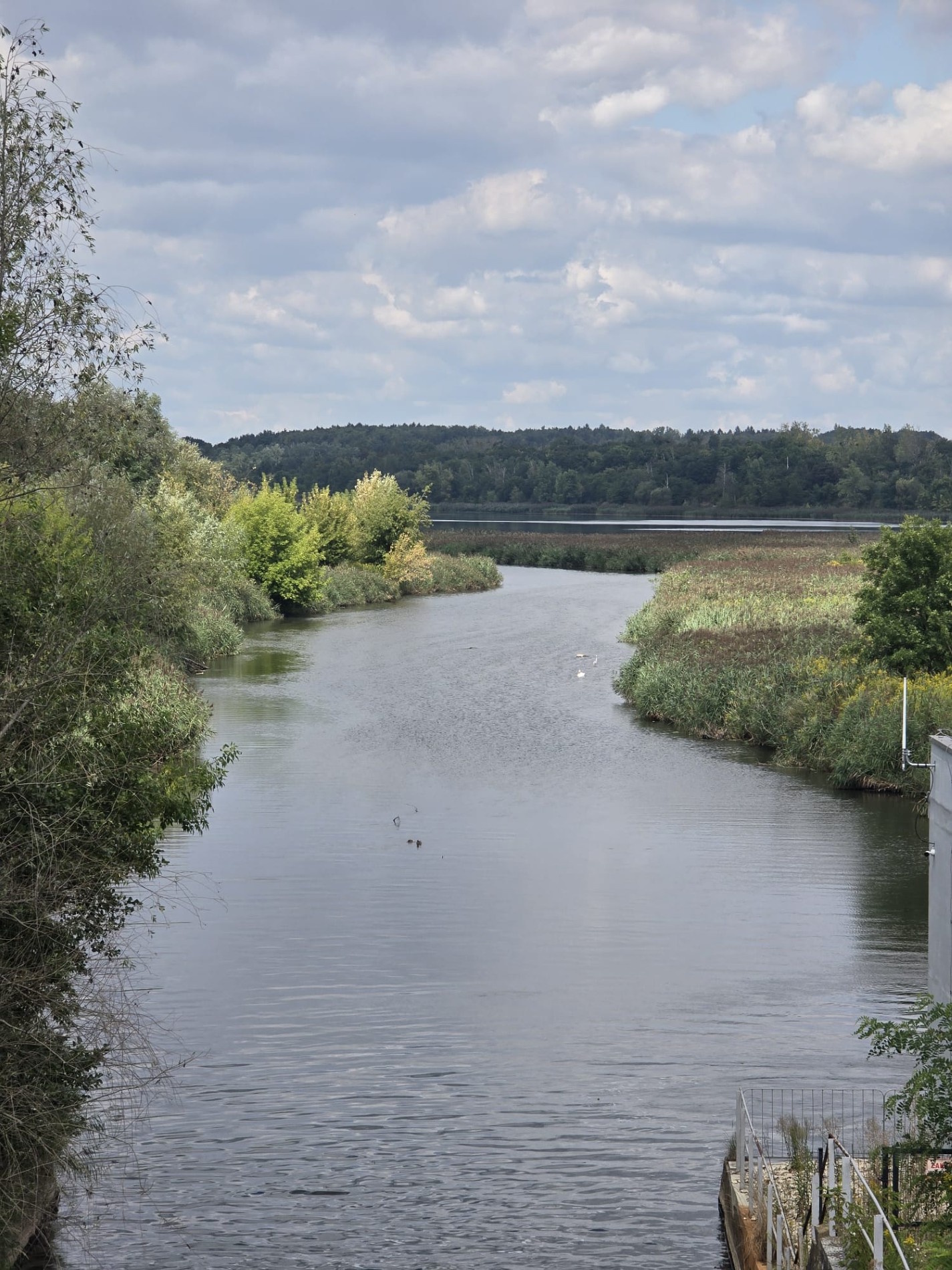 Ujście rzeki Kłodnicy