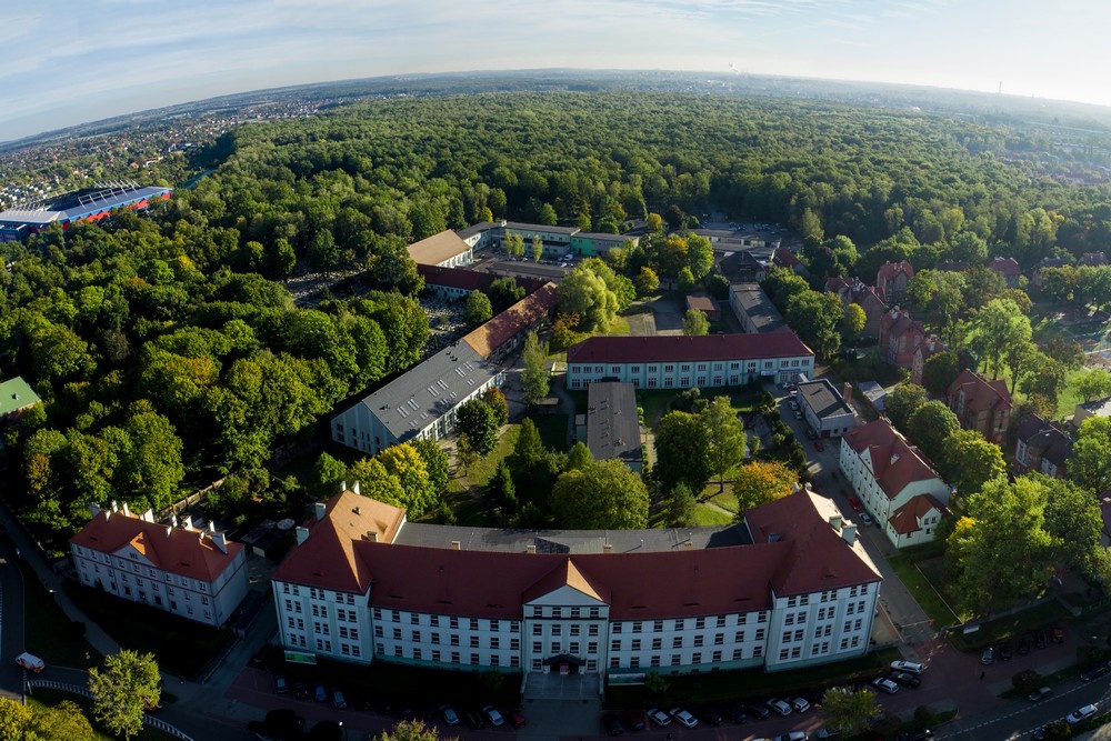 Szukasz pomysłu na swoją ścieżkę edukacyjną? Sprawdź, co oferuje Górnośląskie Centrum Edukacyjne