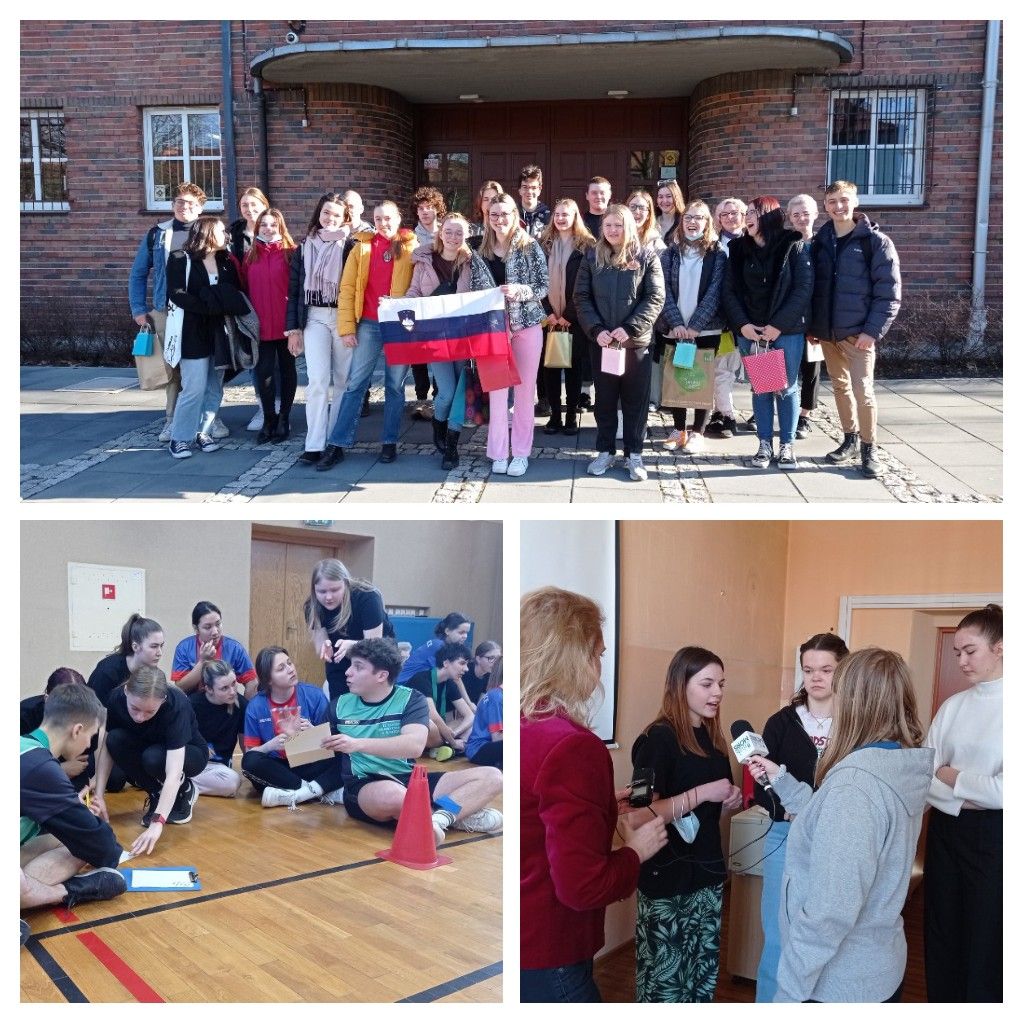 Erasmus_COLLAGE