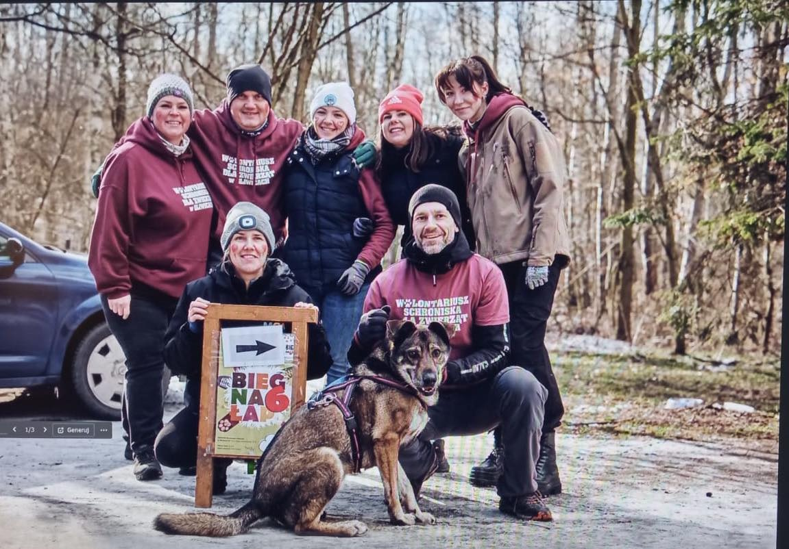 ludzie i psy z napisem Bieg na 6 łap