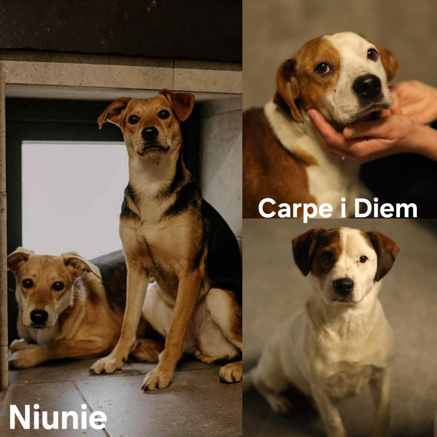Drużyna ze Wschodniej poleca się na całe życie