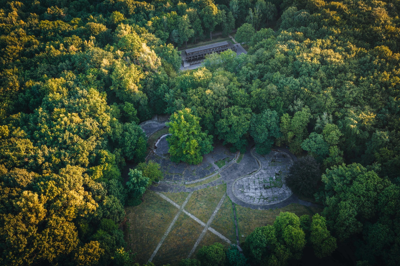 scena w lesie komunalnym, ujęcie z góry
