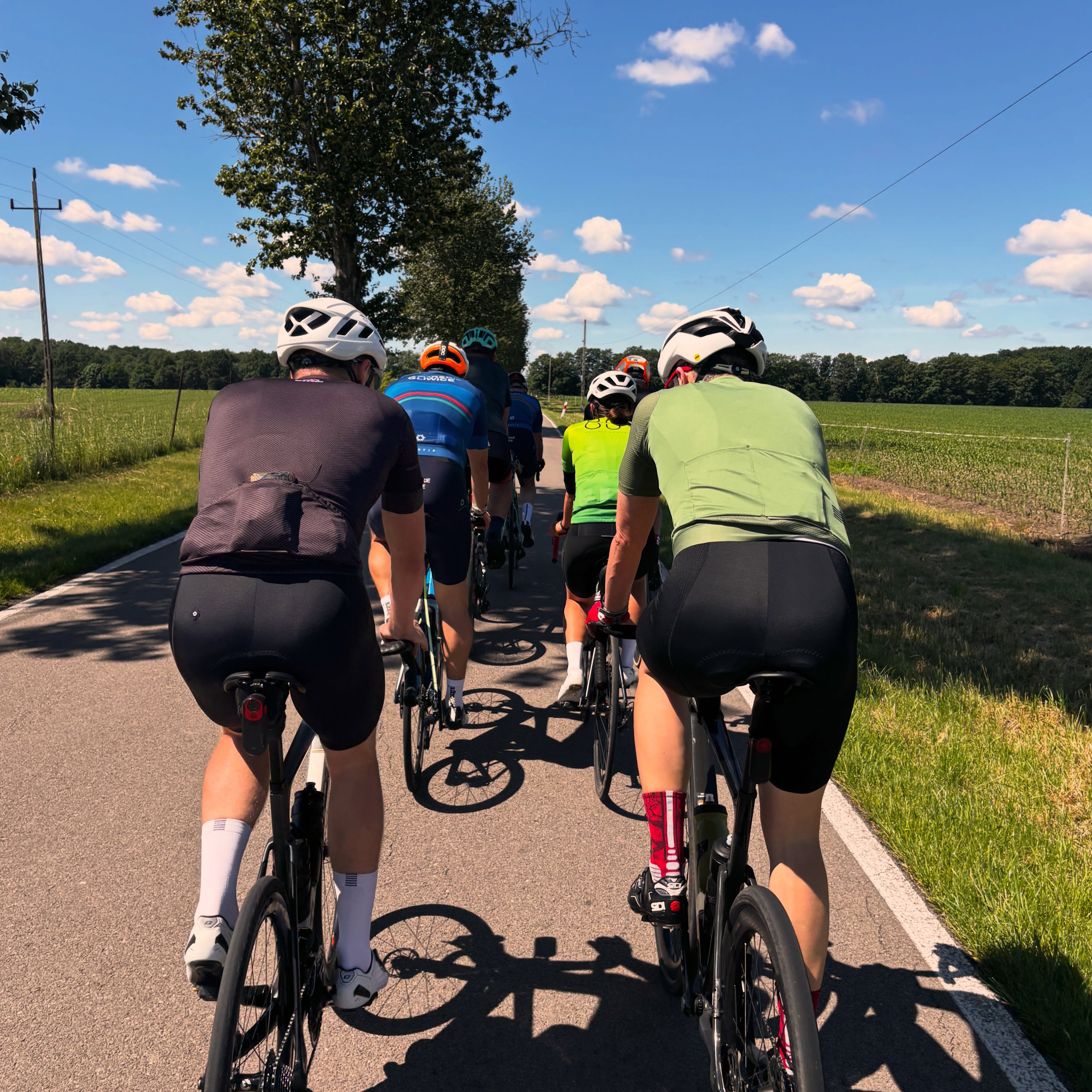 Rowerowa ustawka i trasa w kształcie kreskówkowego Reksia. Mocny start Gliwic po tytuł Rowerowej Stolicy Polski