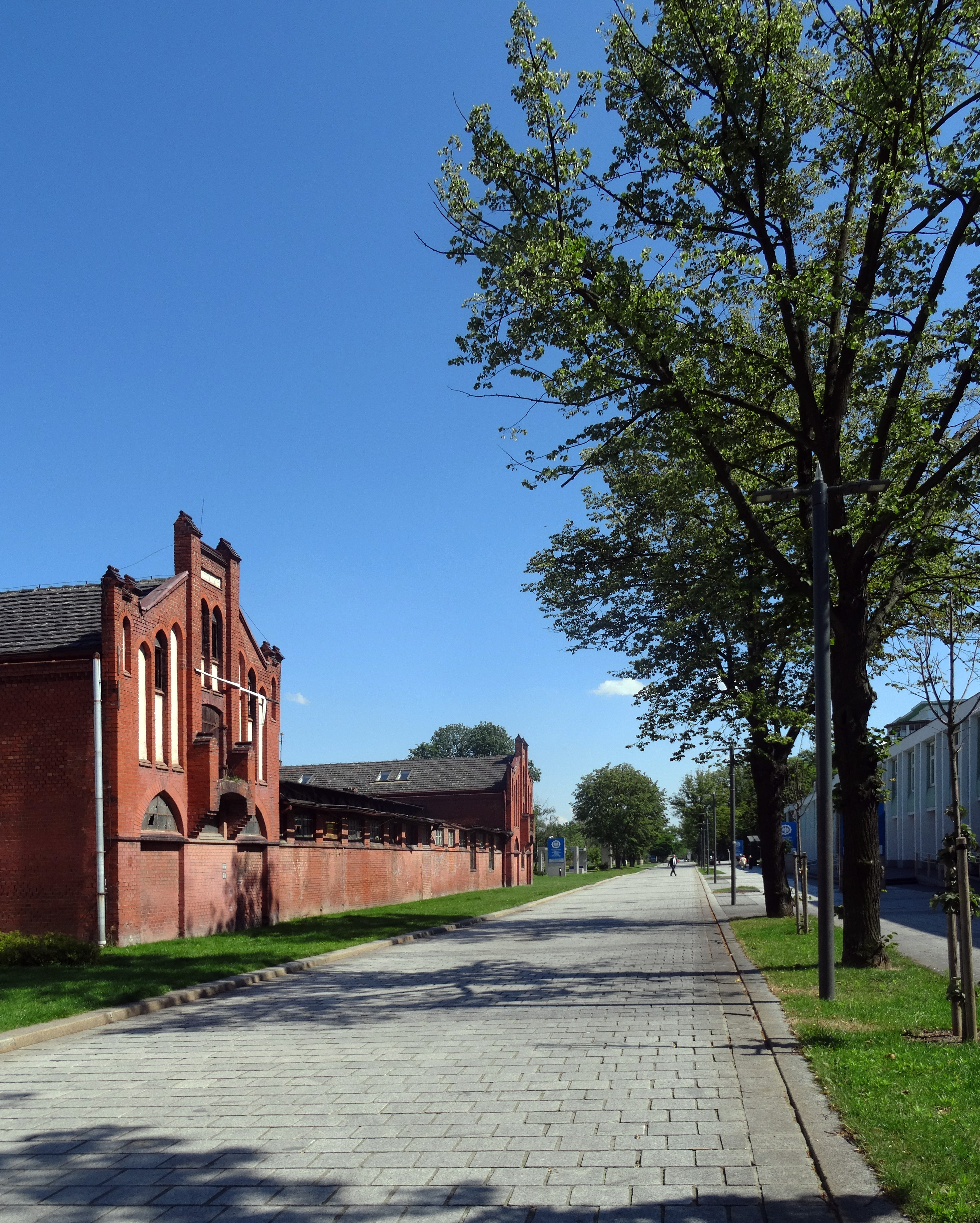 Kolory Miasta. Sztuka wyboru