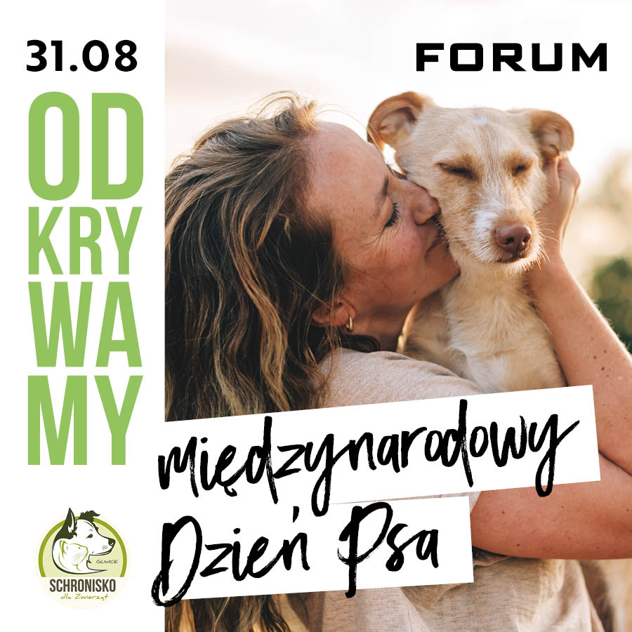 Podaruj im dom, a sobie wiernego przyjaciela