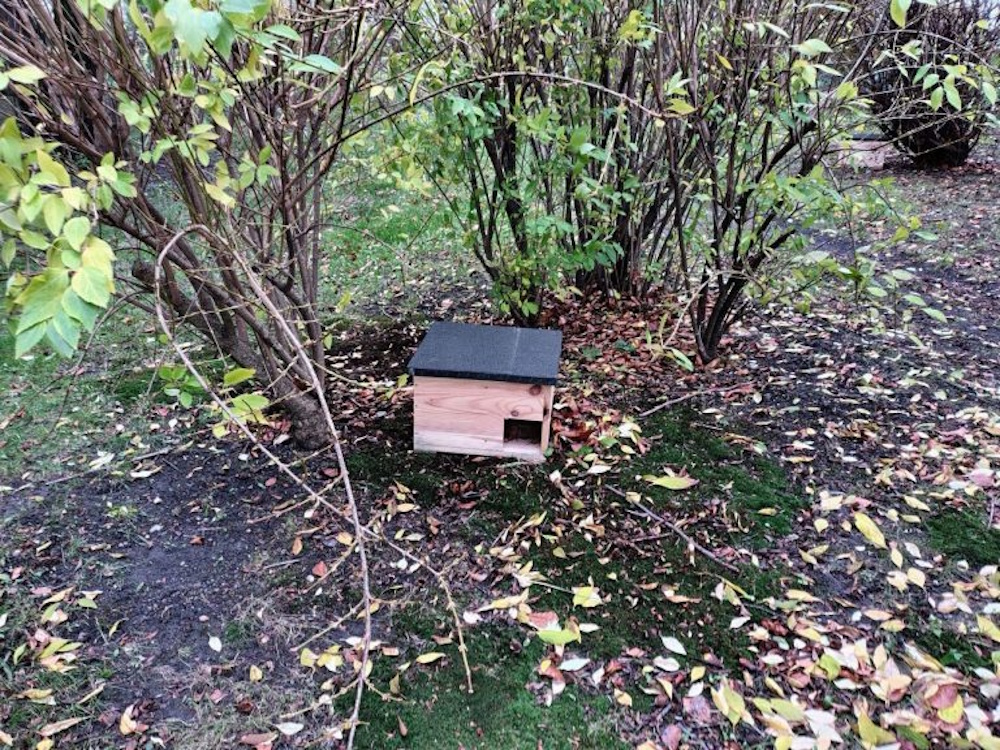 domek z drewna dla zwierząt