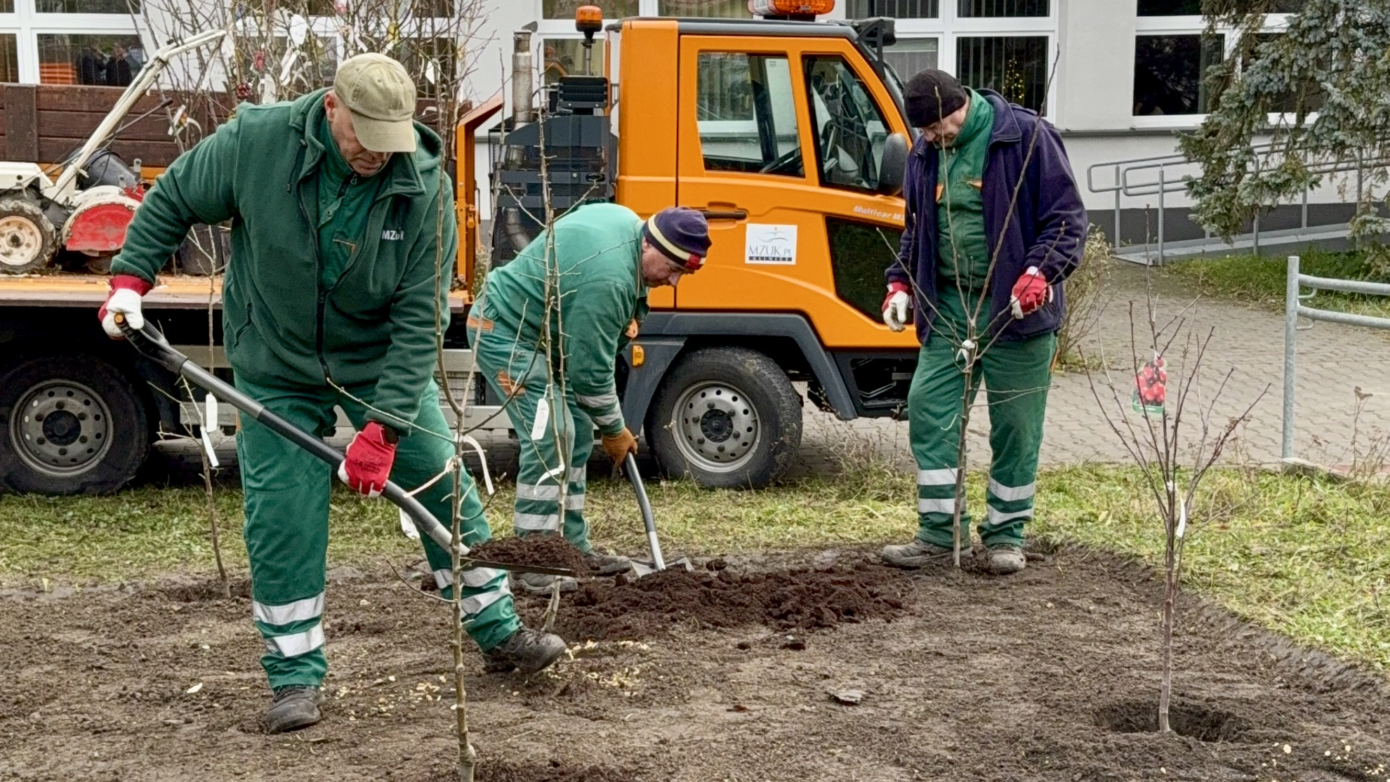 ludzie w ubraniach roboczych sadzą drzewa, obok wóz z drzewkami