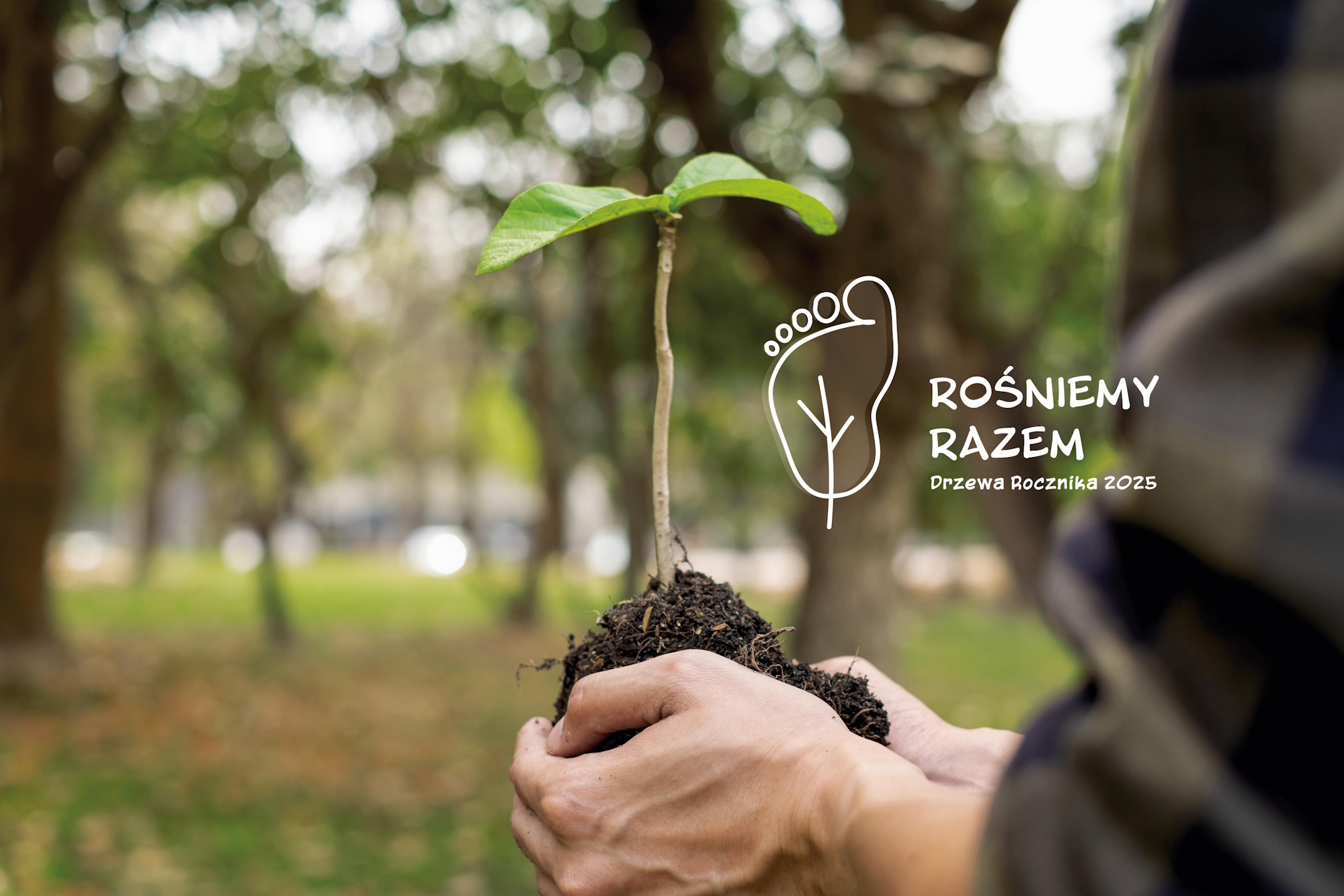 Ponad 40 najmłodszych Gliwiczan dołączyło do programu „Rośniemy Razem – Drzewa Rocznika 2025” 🌳