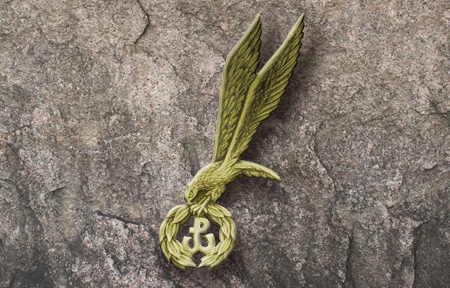 Imienia… Cichociemnych