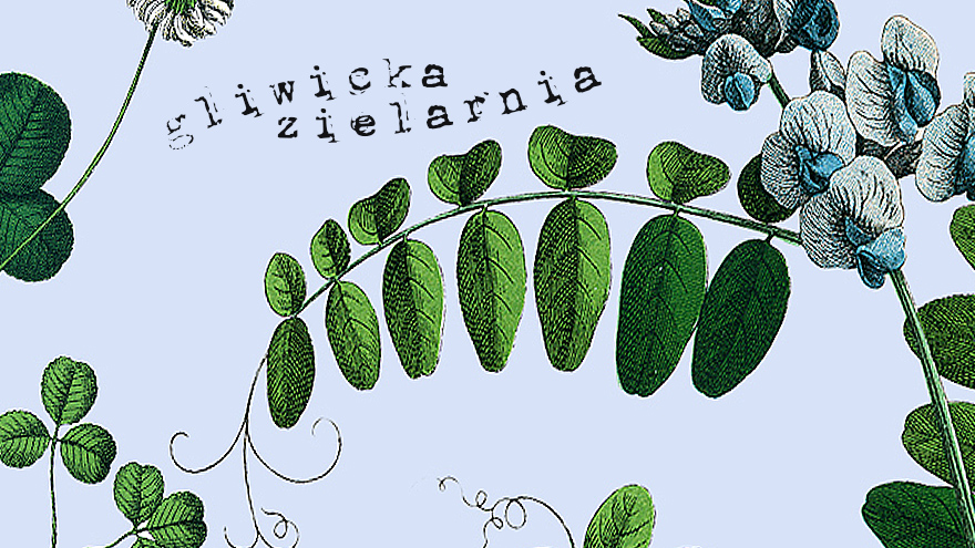 Gliwicka Zielarnia