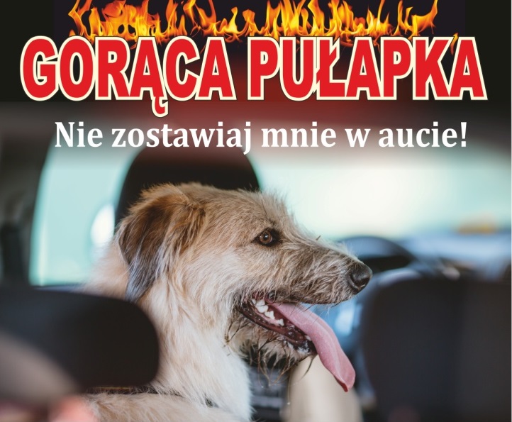 Gorąca pułapka!