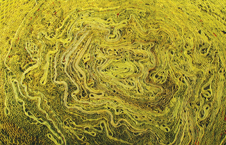Kulturalny Kaczyniec