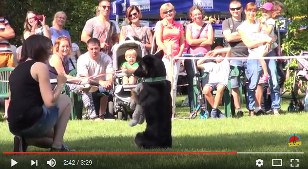 Wariacje na 4 łapy - są pierwsze adopcje!
