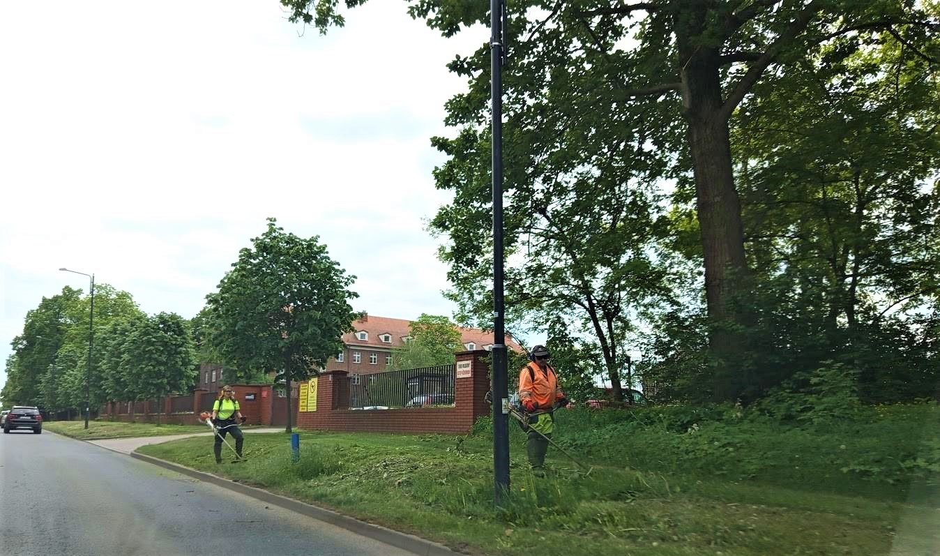 Zielone porządki w mieście - czas na koszenie trawników