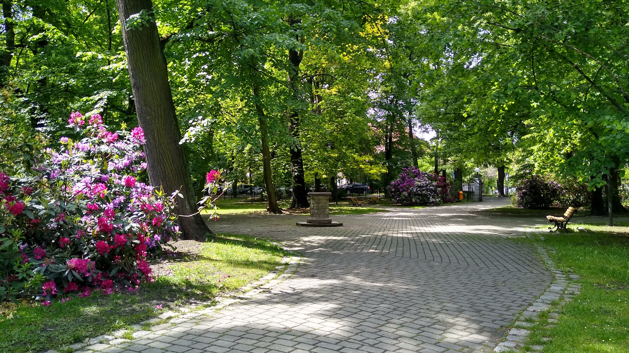 Zielona strona Gliwic. Tam znajdziesz ochłodę i wypoczynek